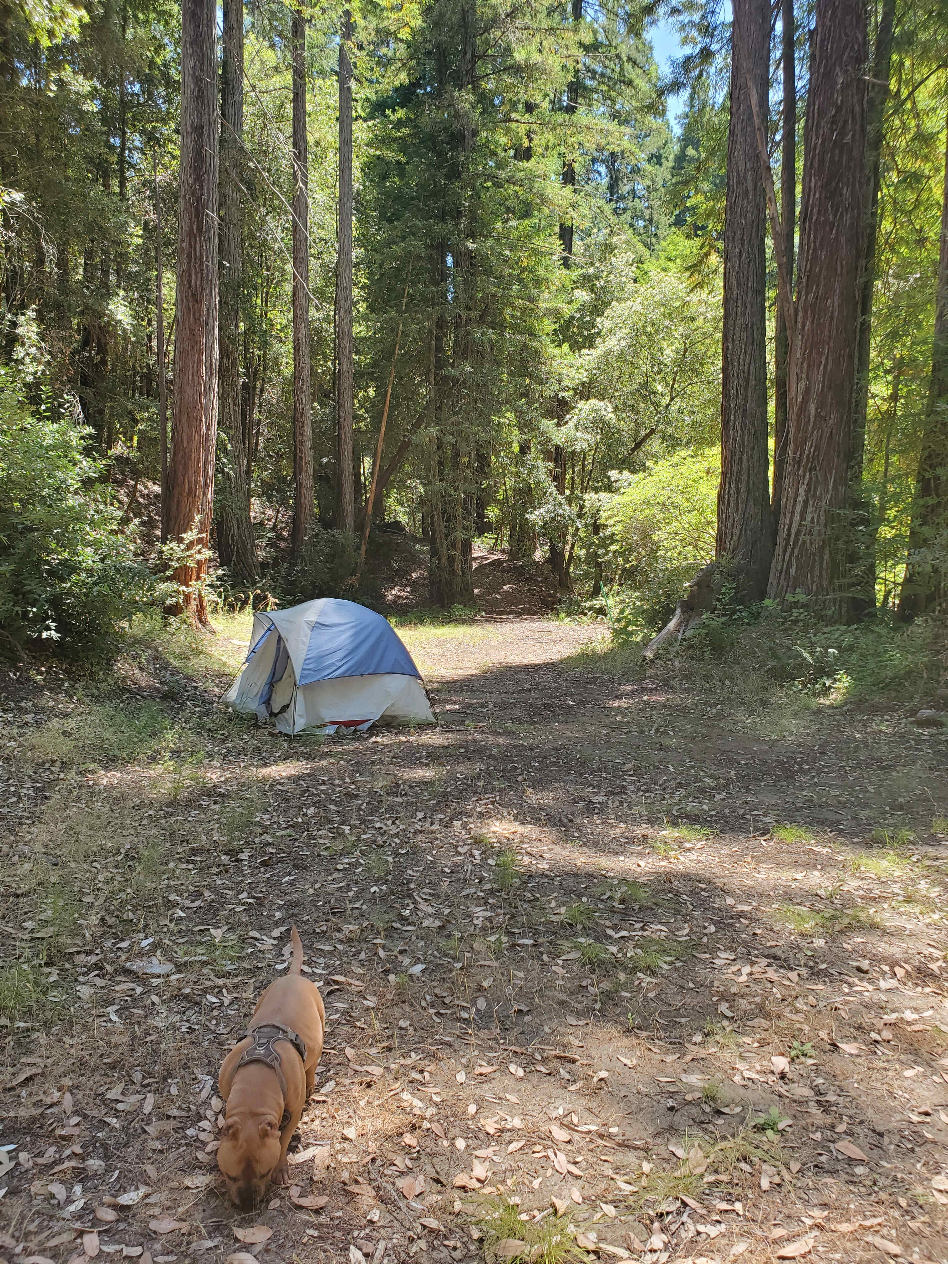 Mission Canyon