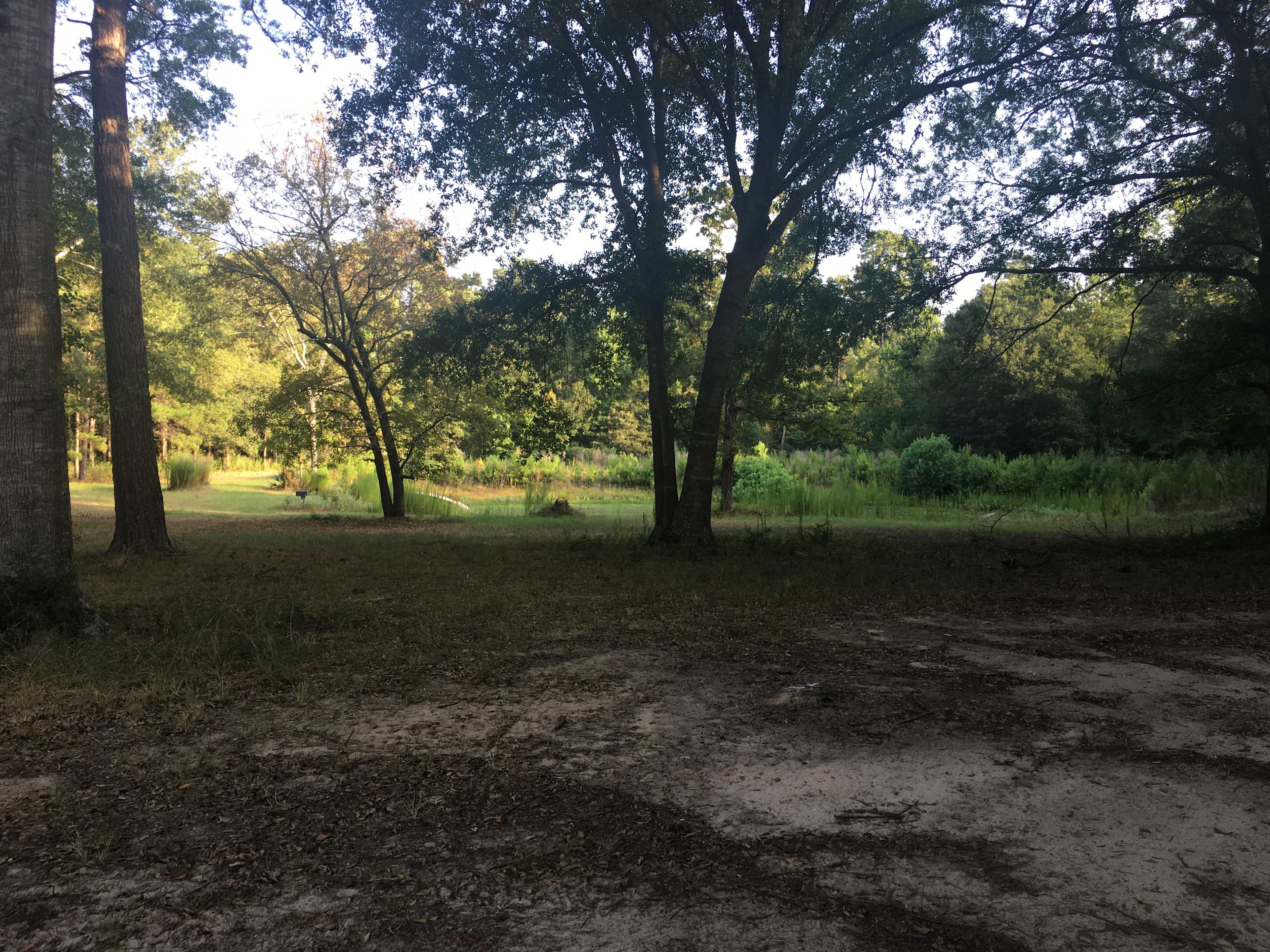 Hazel Park