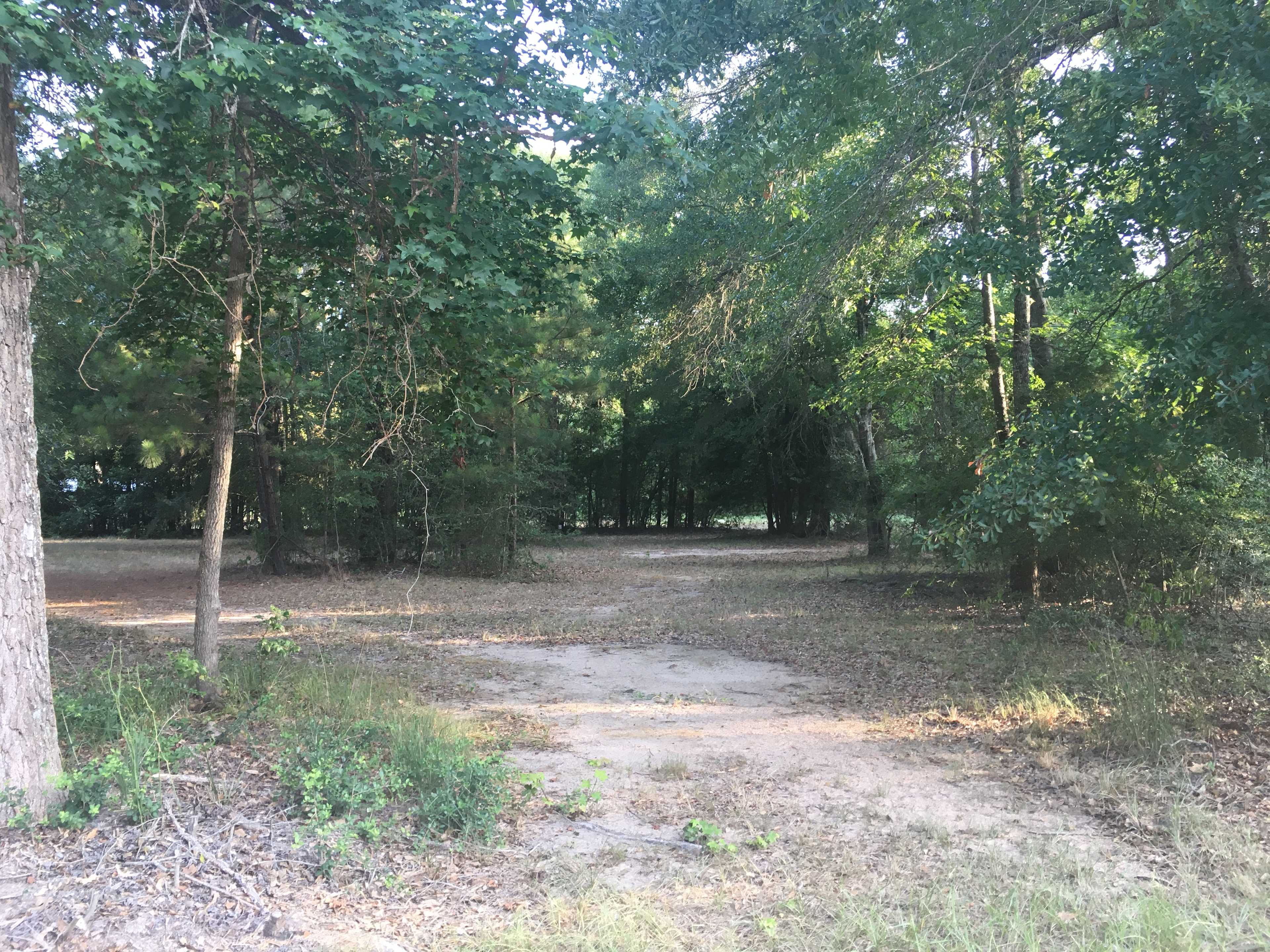 Hazel Park
