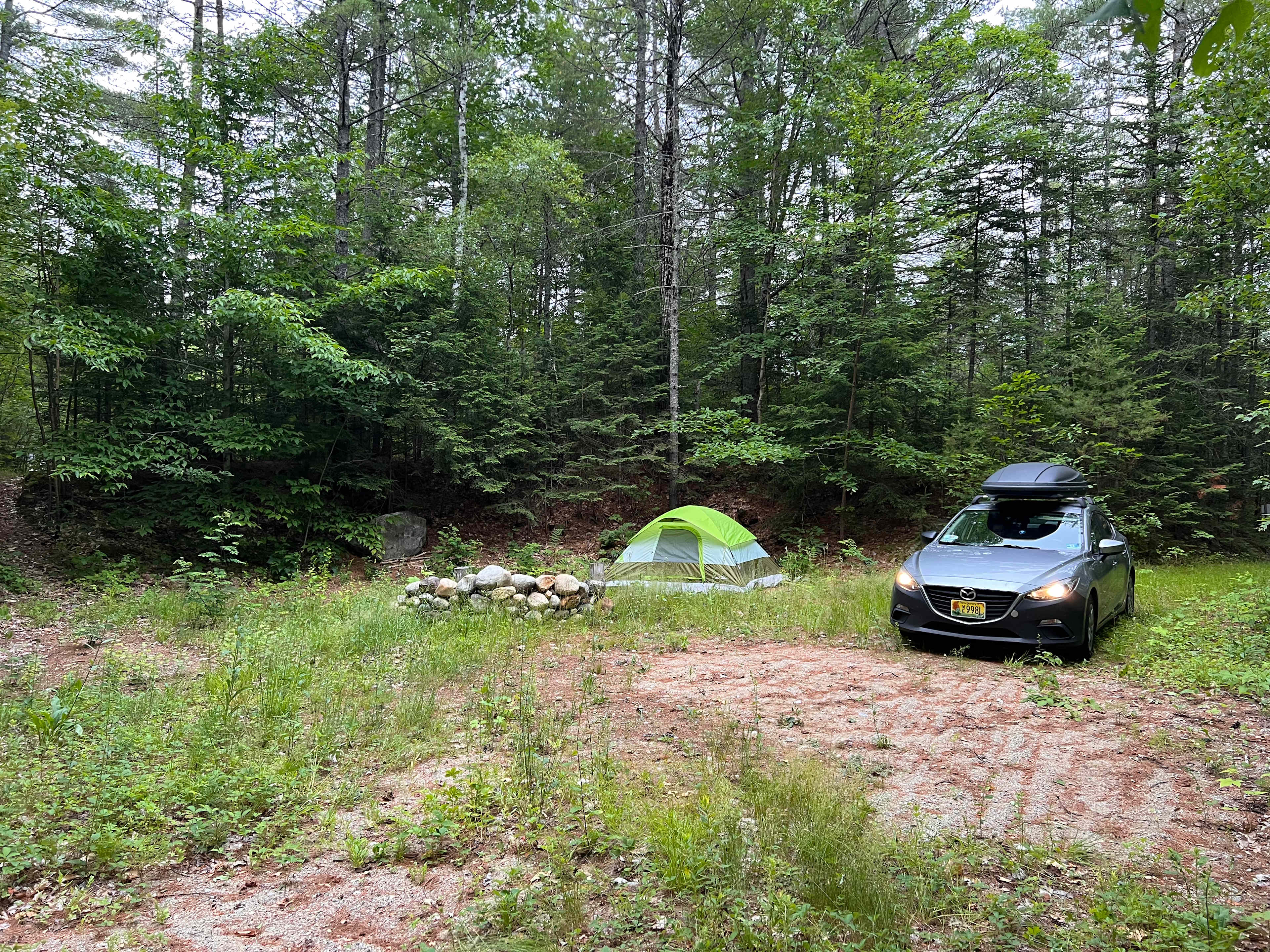 Picture of the site
