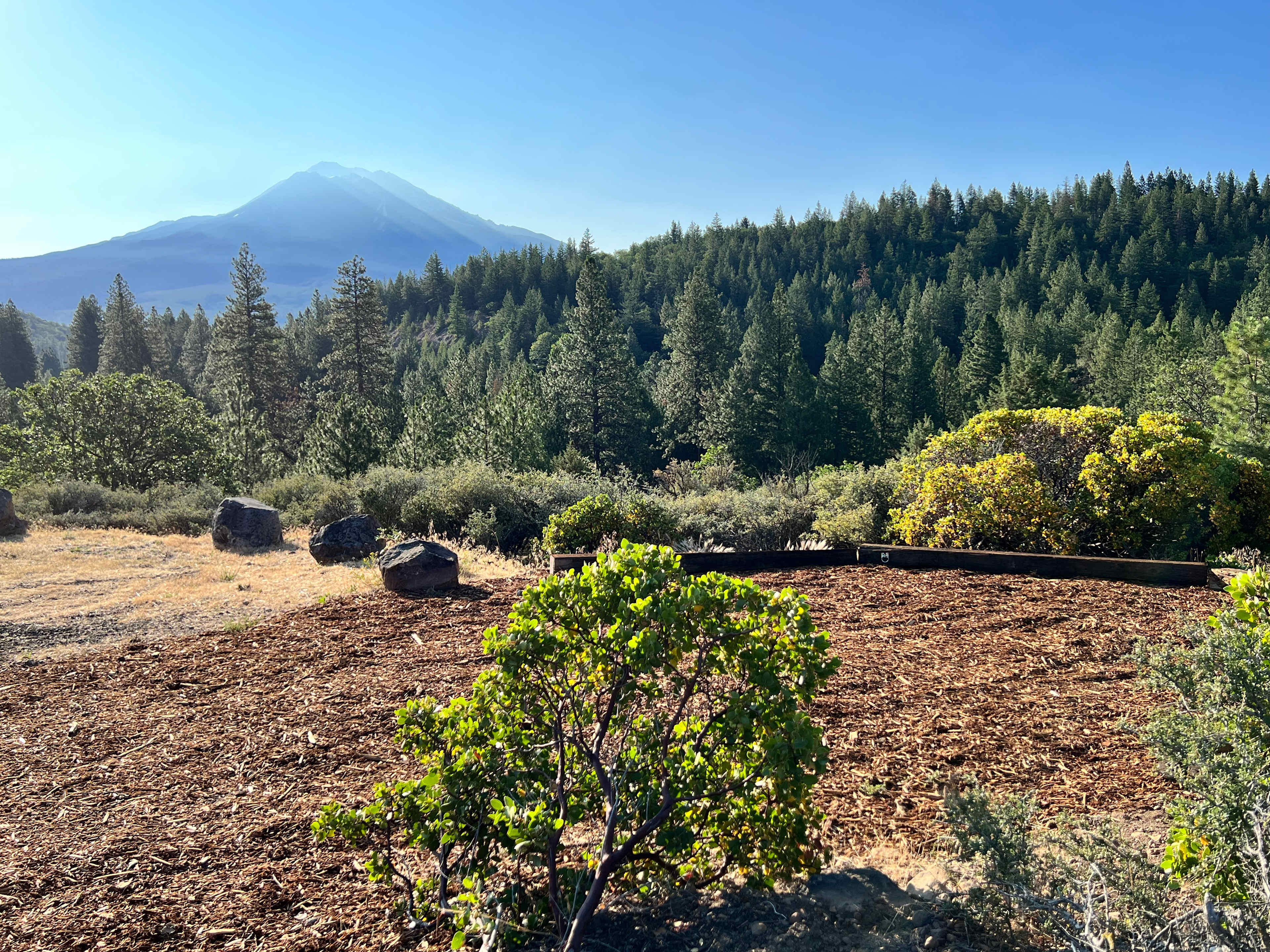 T5 Tent site on Chaparral Loop