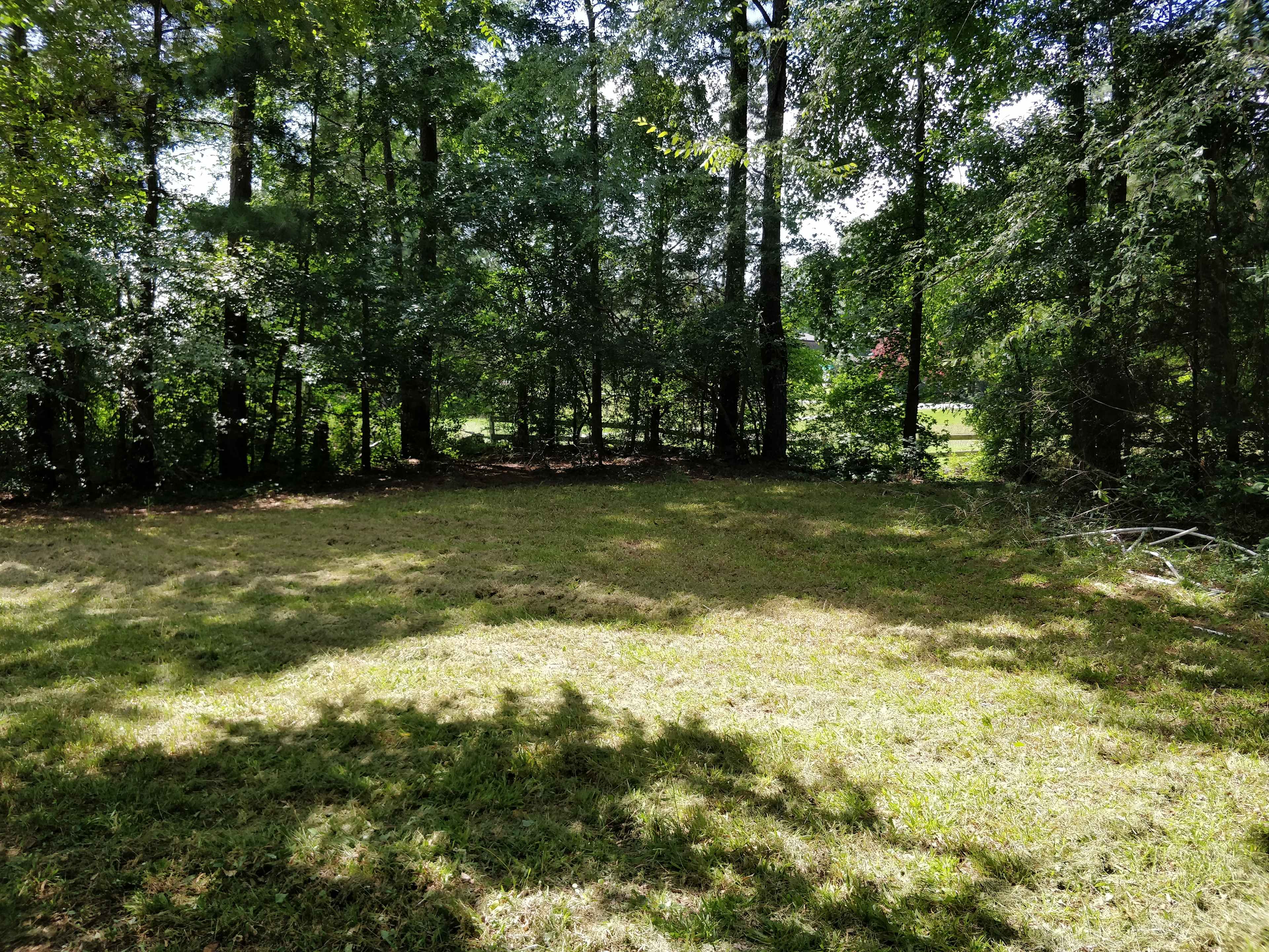 DOG Freedom Camp
