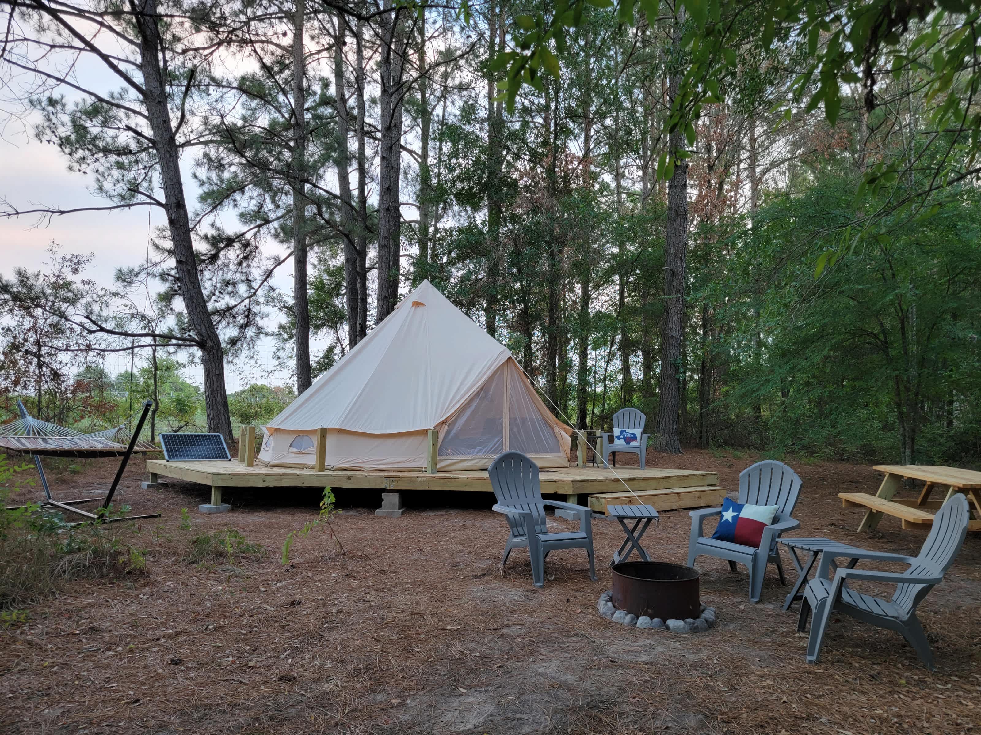 Picture of the site