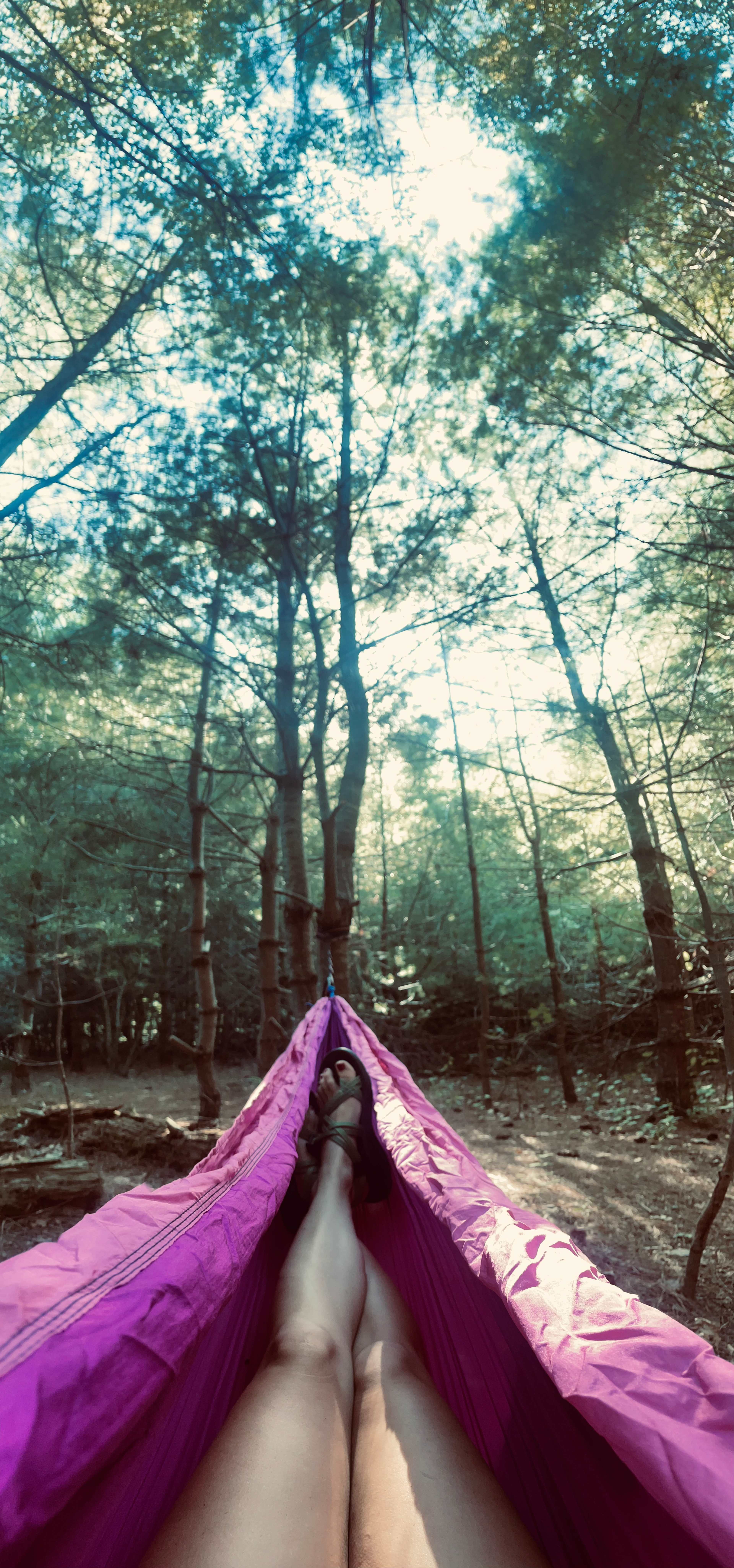 Cozy Wooded Nook
