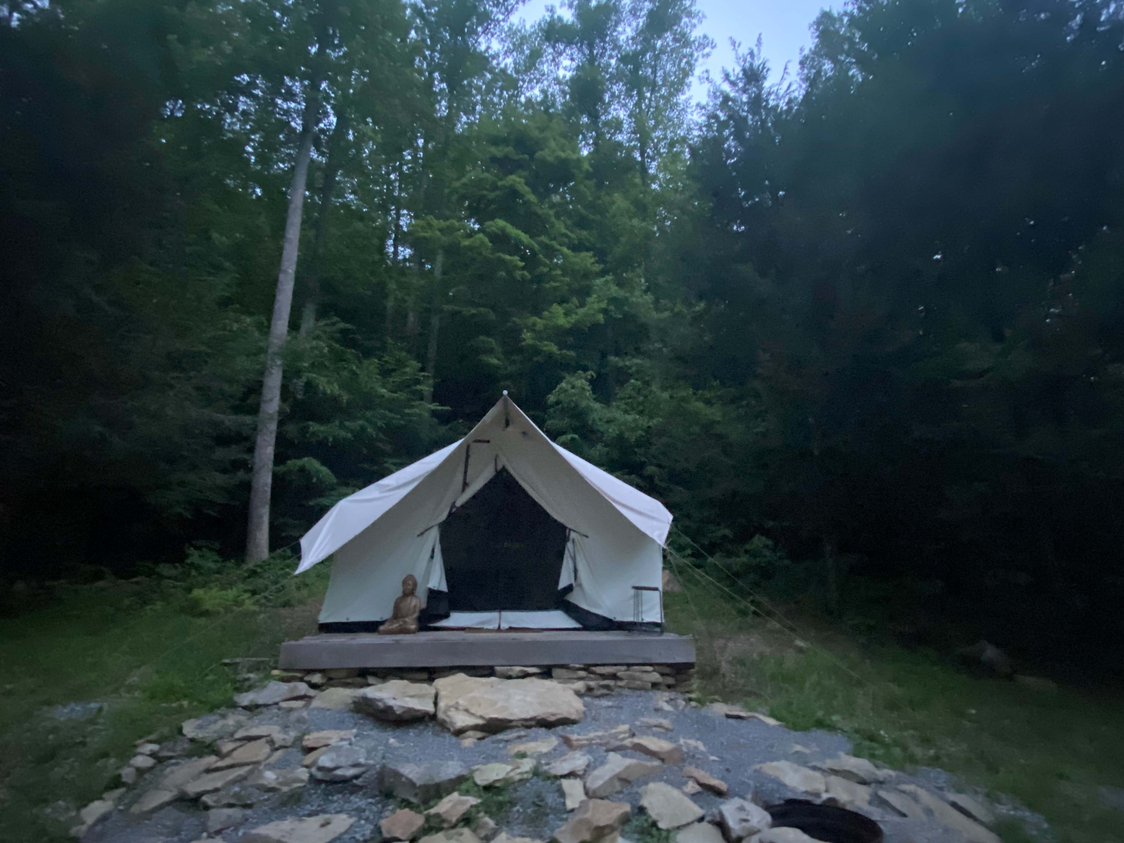 Picture of the site