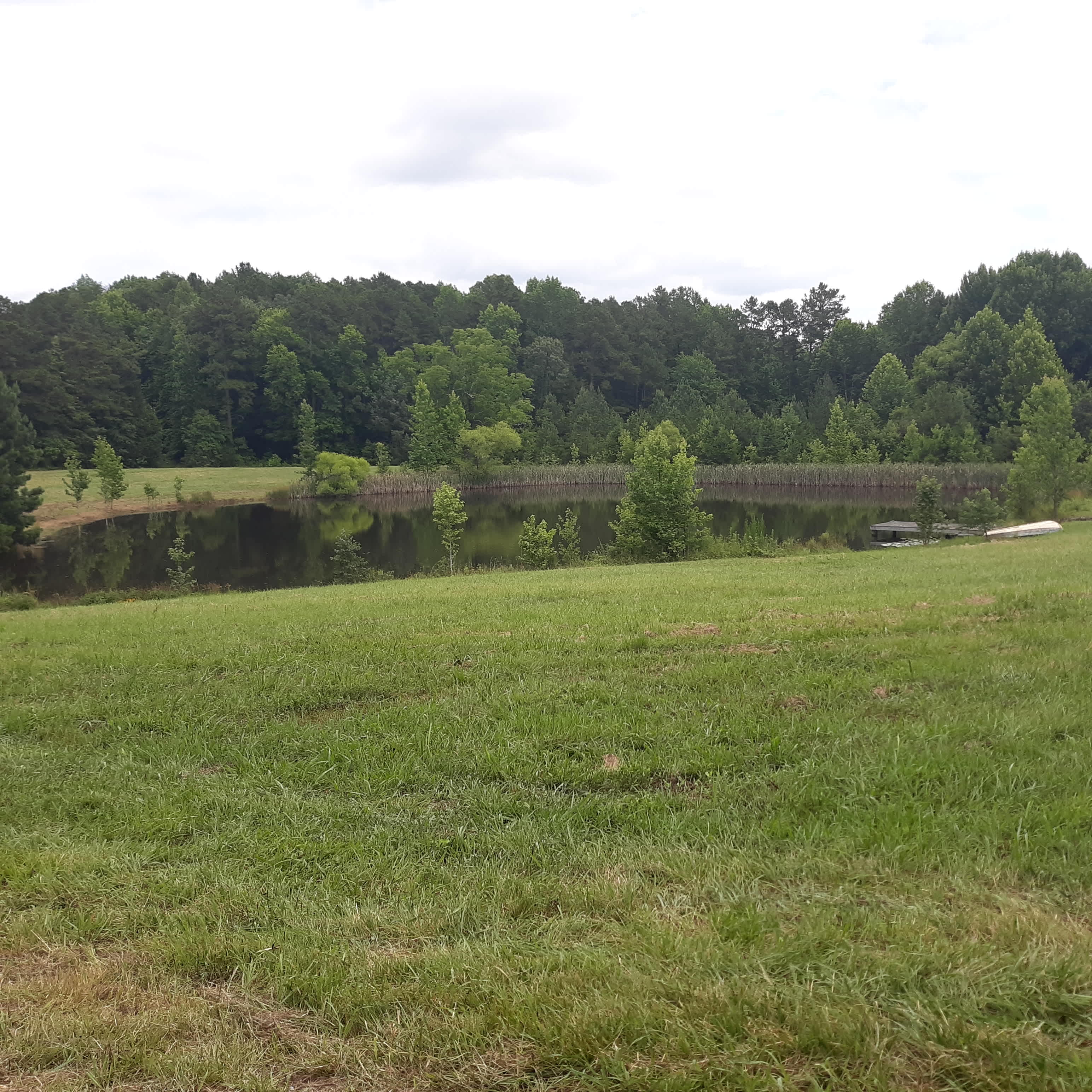 Purple Martin Farm
