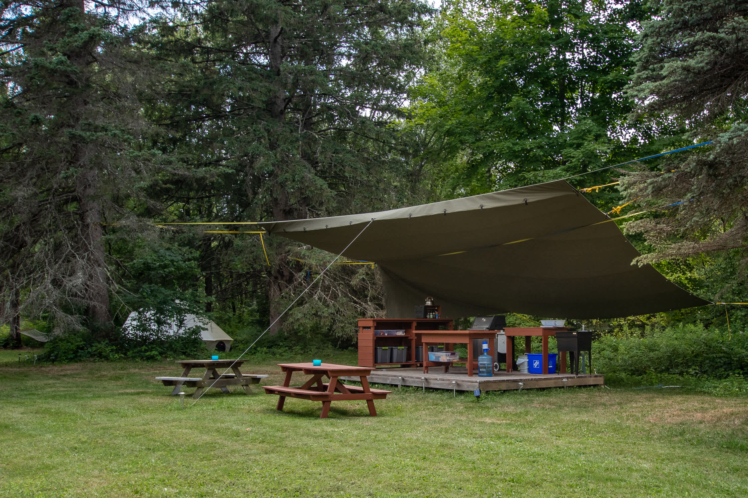 Picture of the site