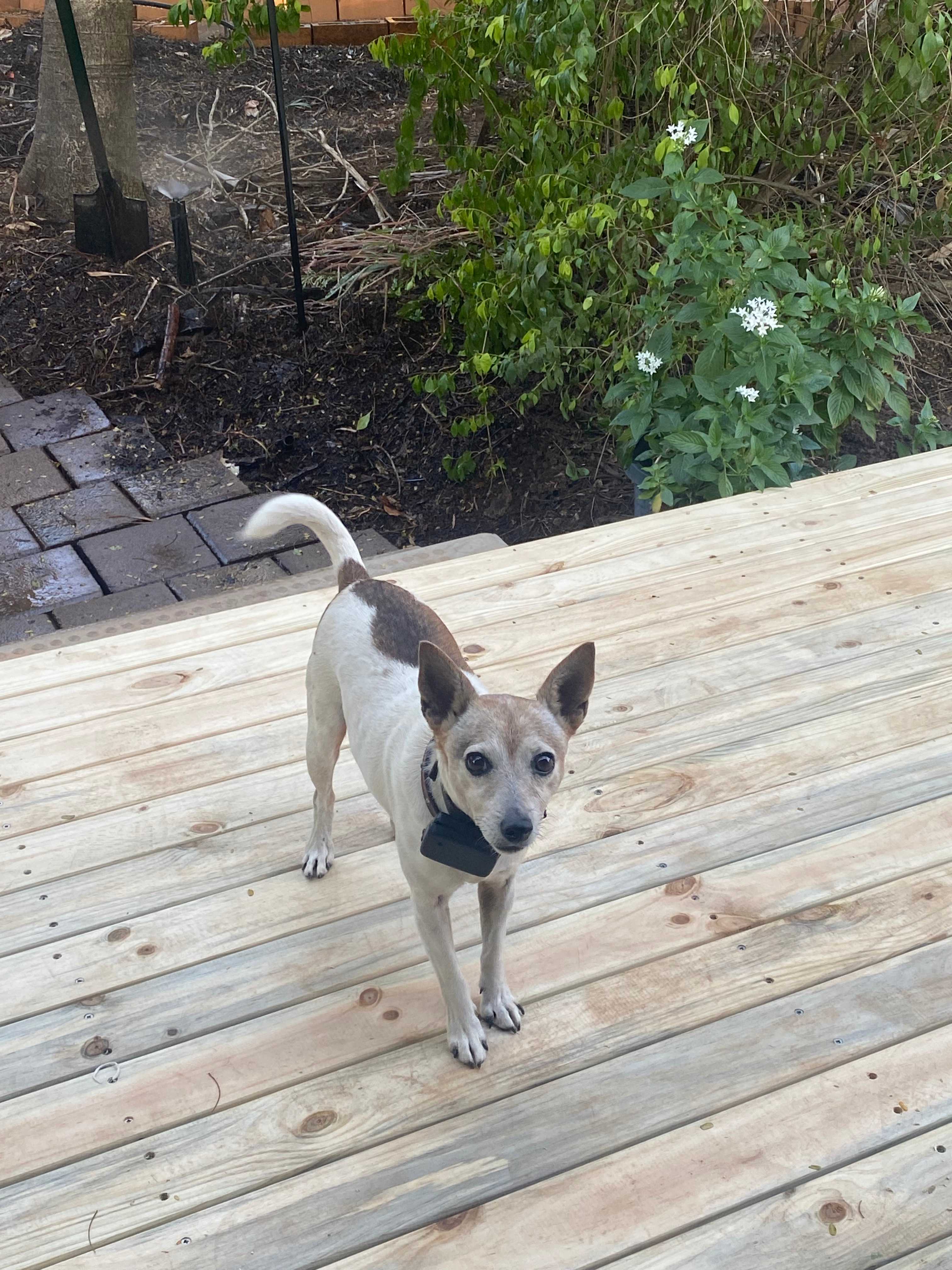Daisy owner of the Cabin and runs the show.