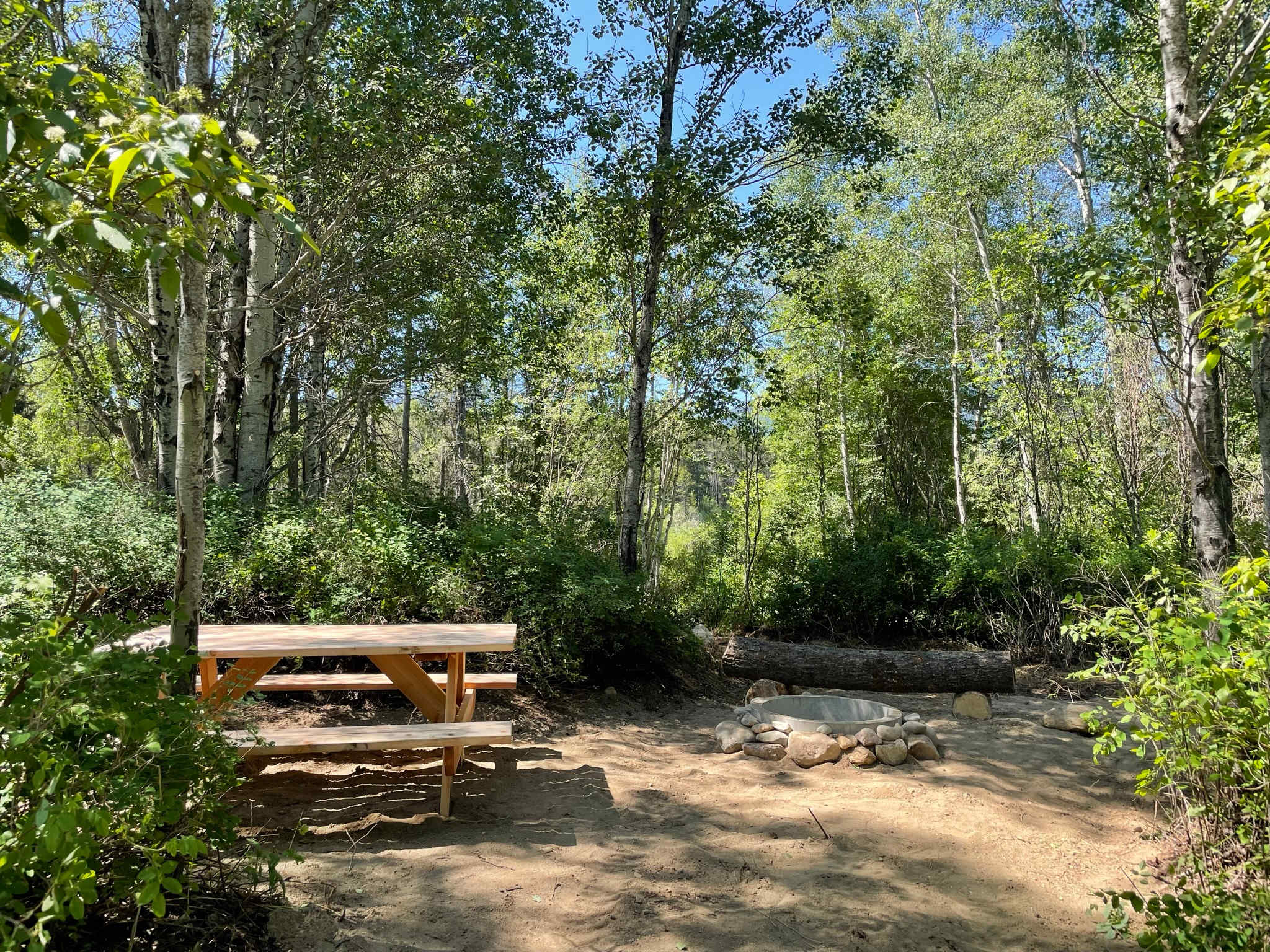 Picture of the site
