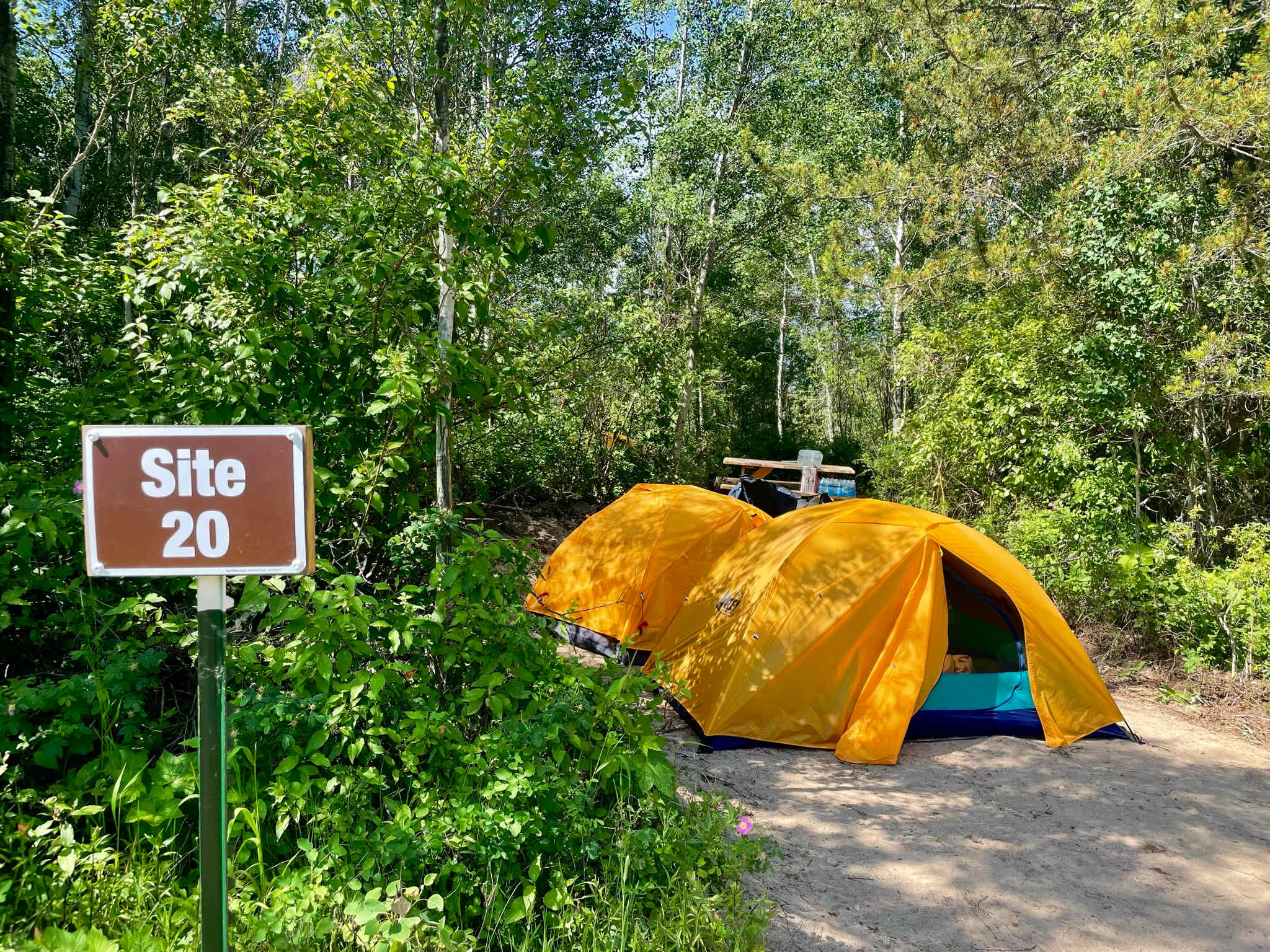Picture of the site