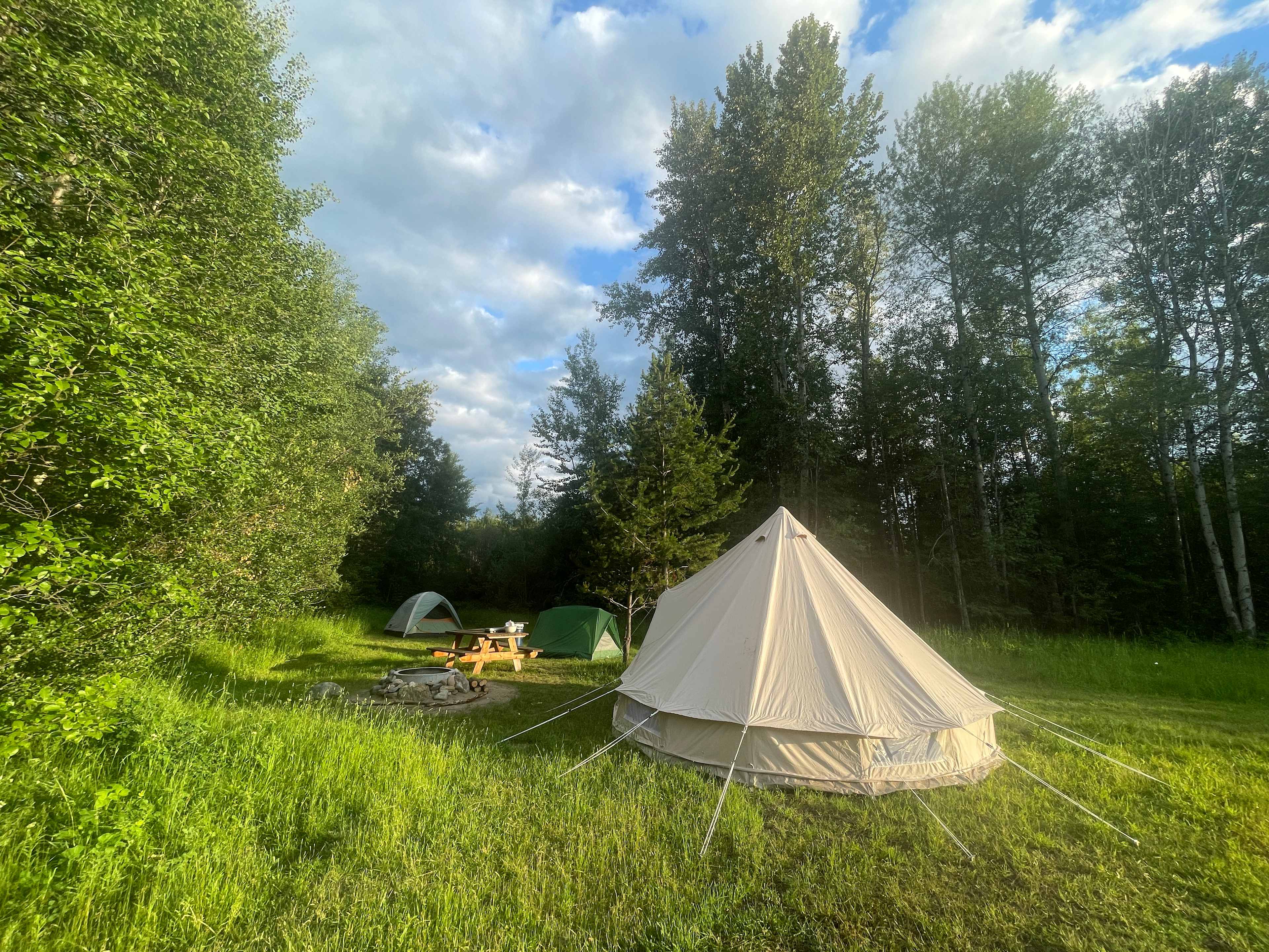 Picture of the site