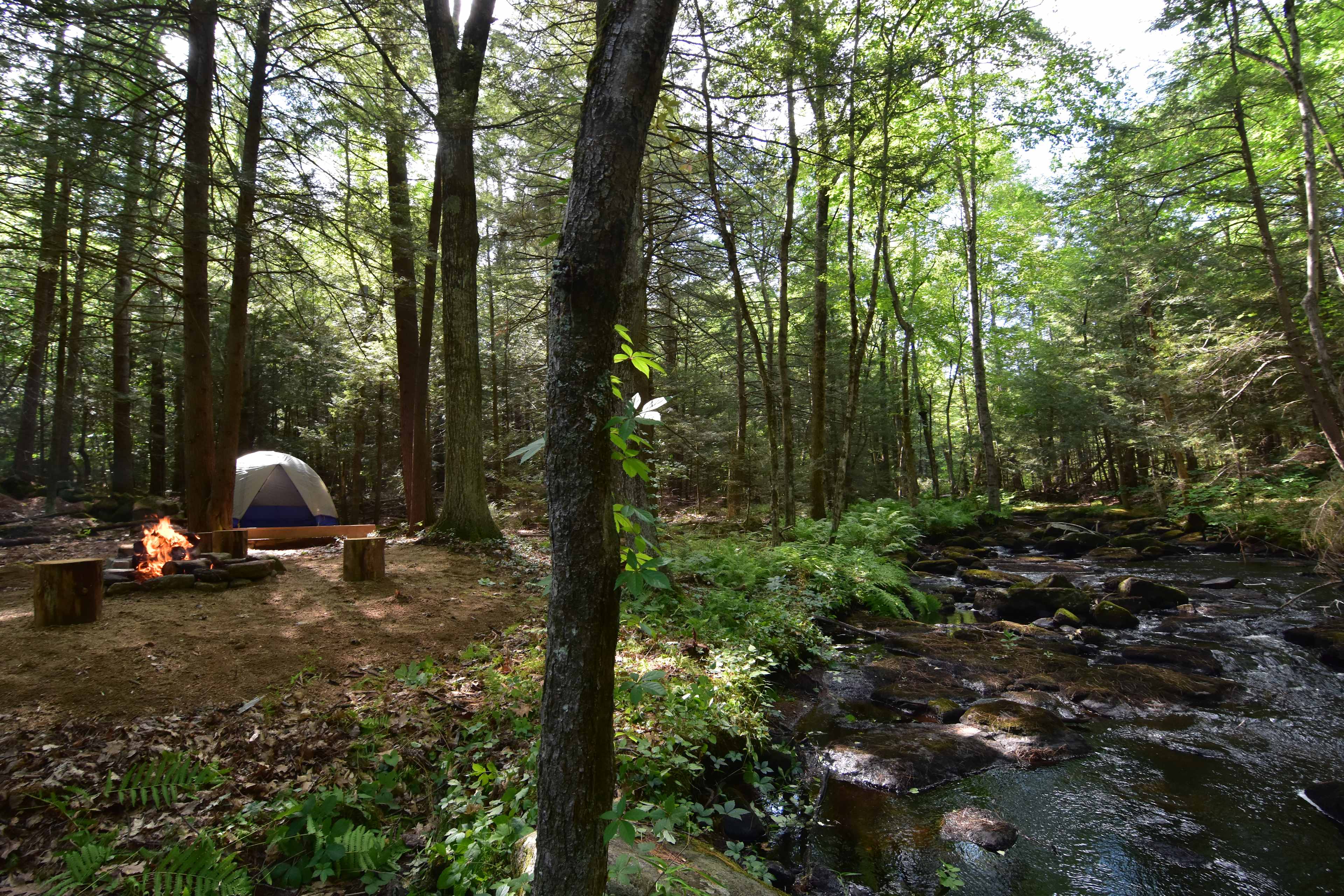 Site 1