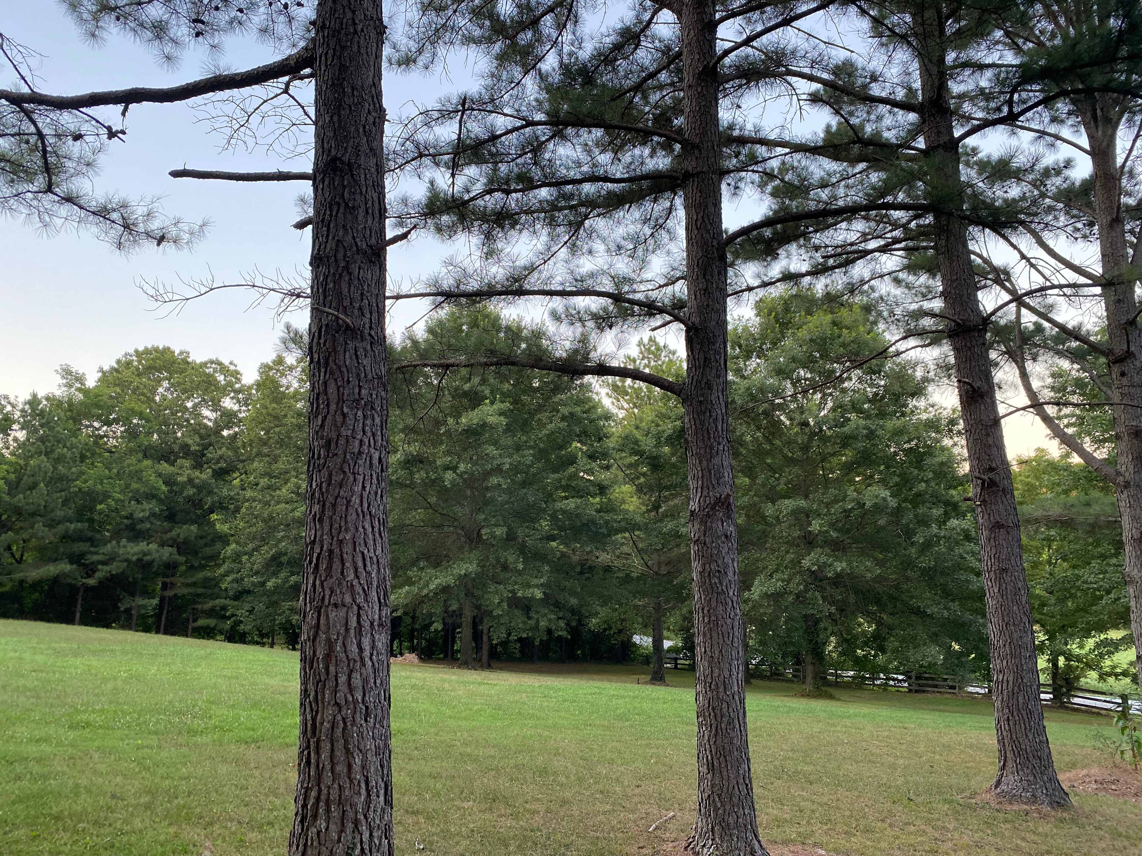 Lay of the land - Camp Bentonville 