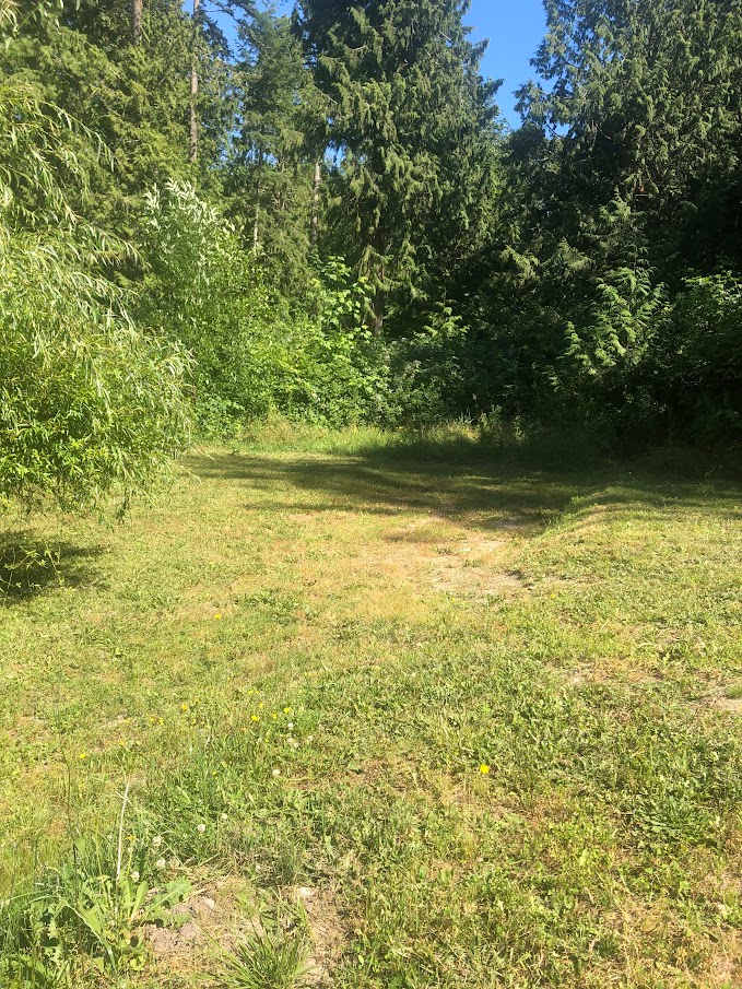This is the campsite.