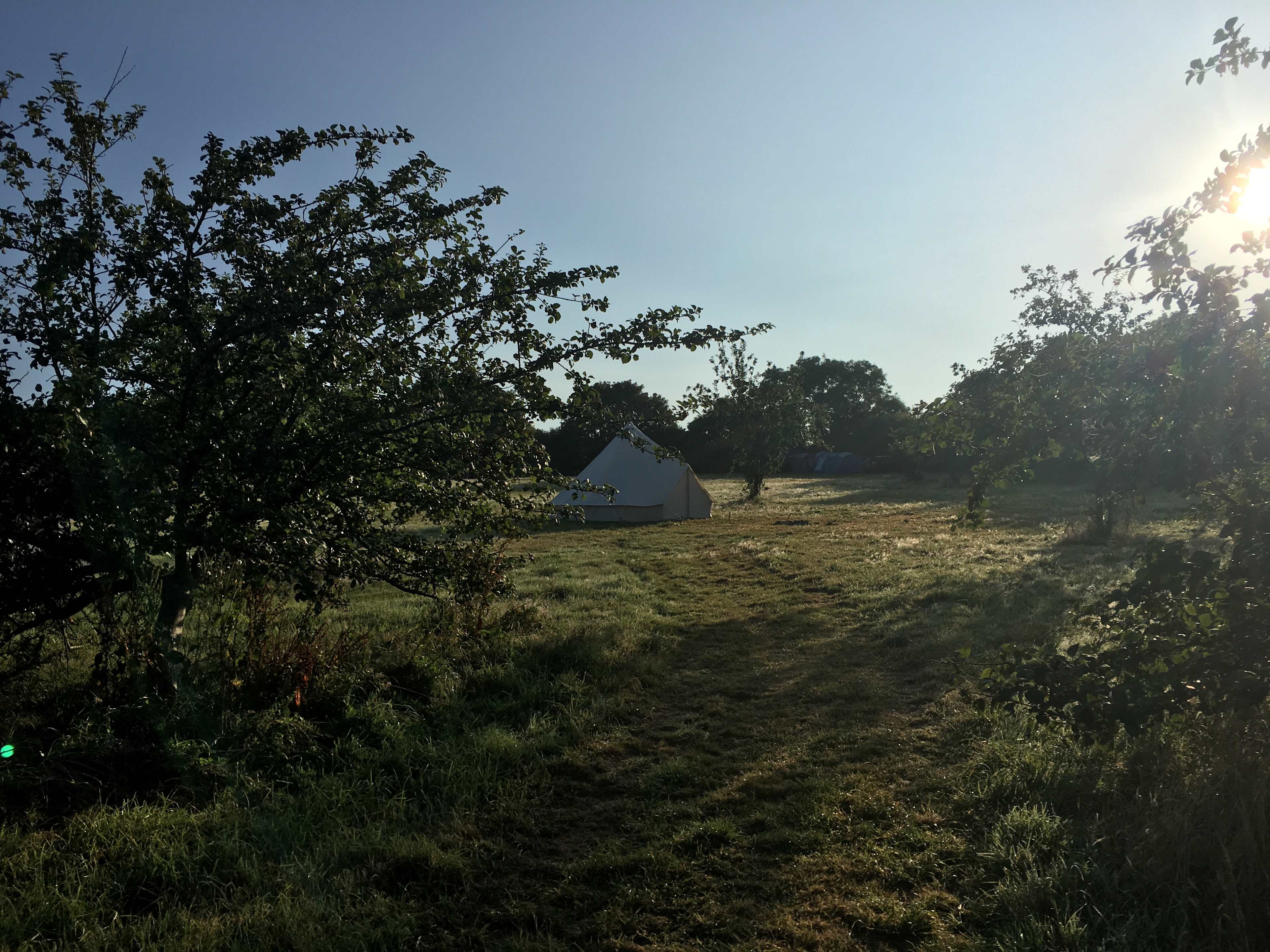 Picture of the site