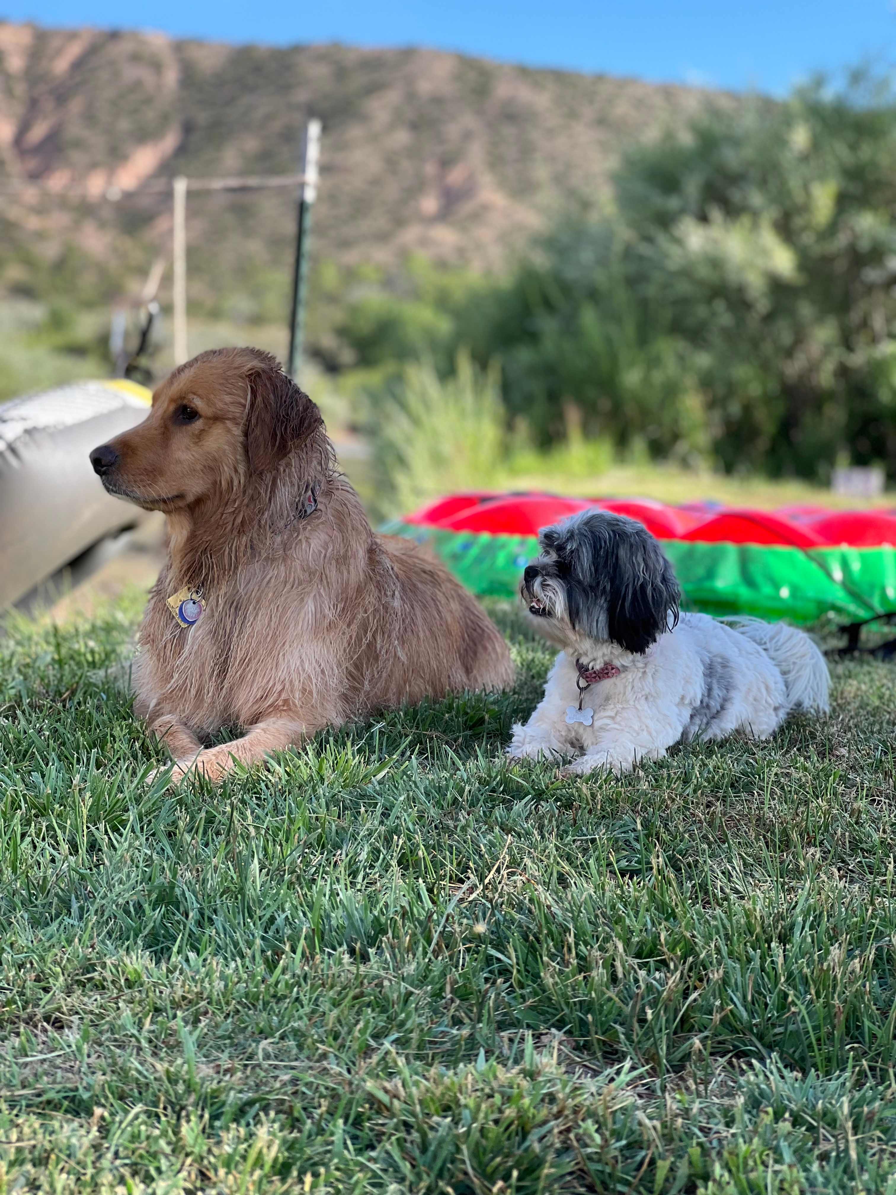 Javali River Glamping