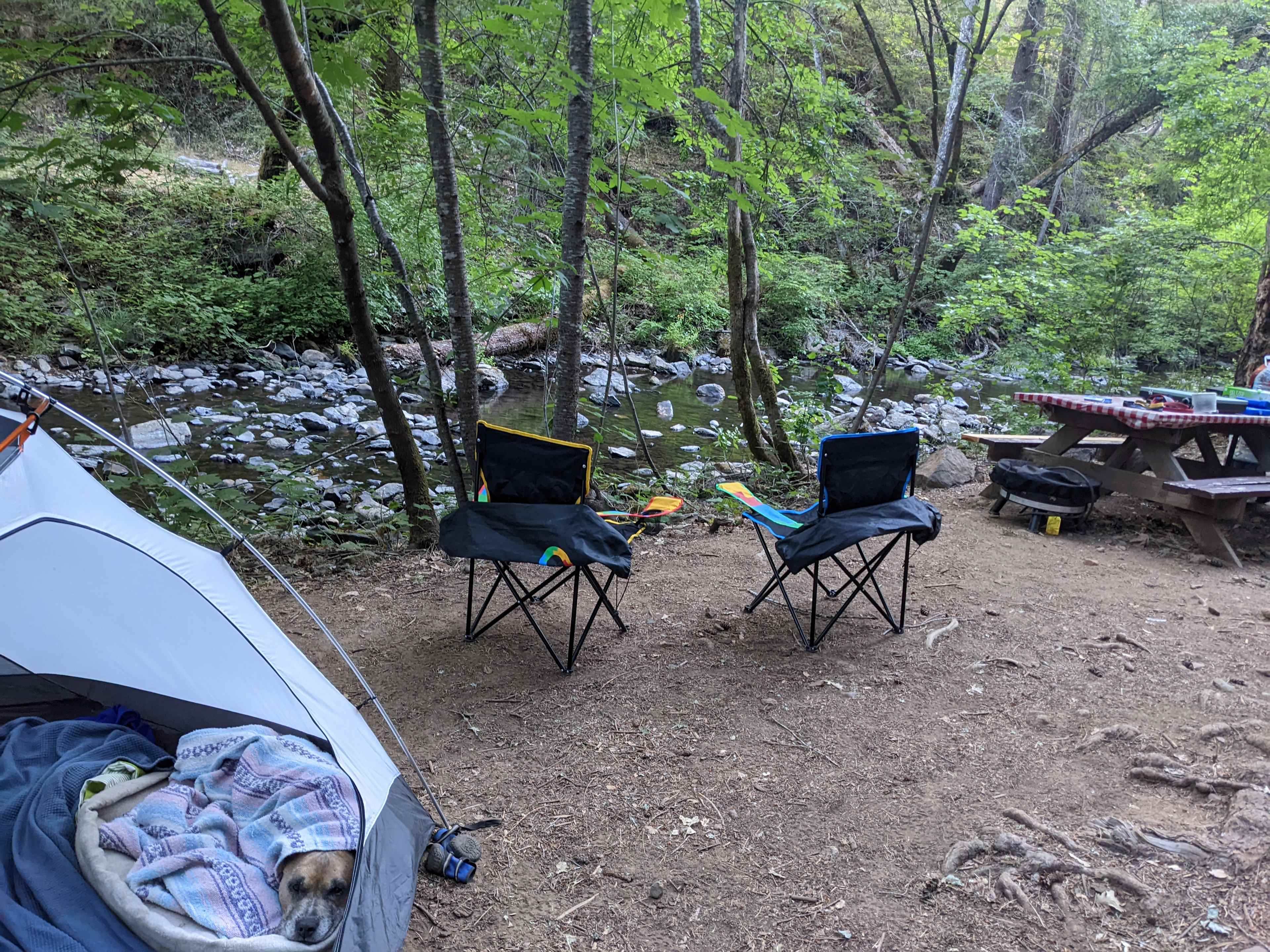 Picture of the site