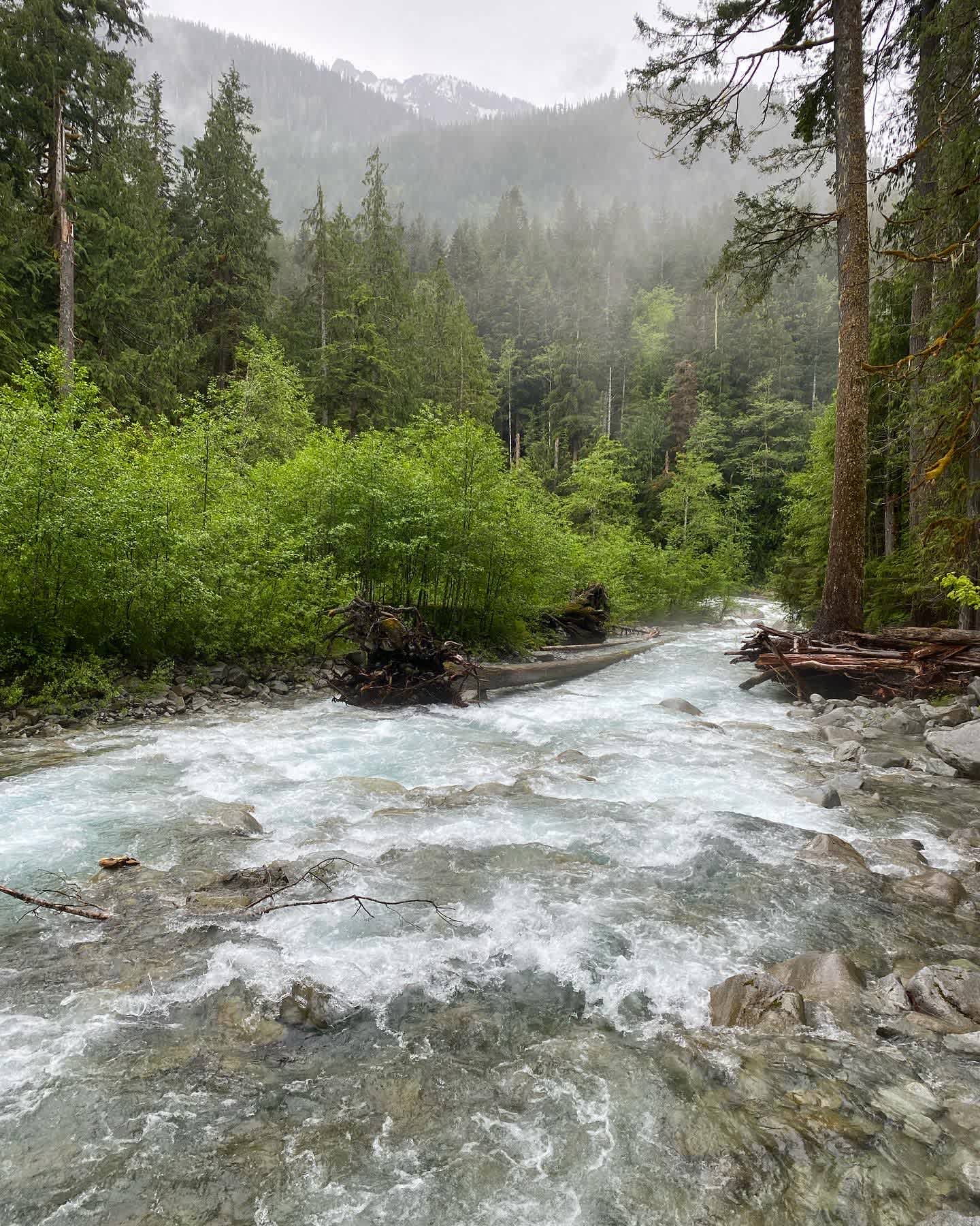Troublesome Creek Campground