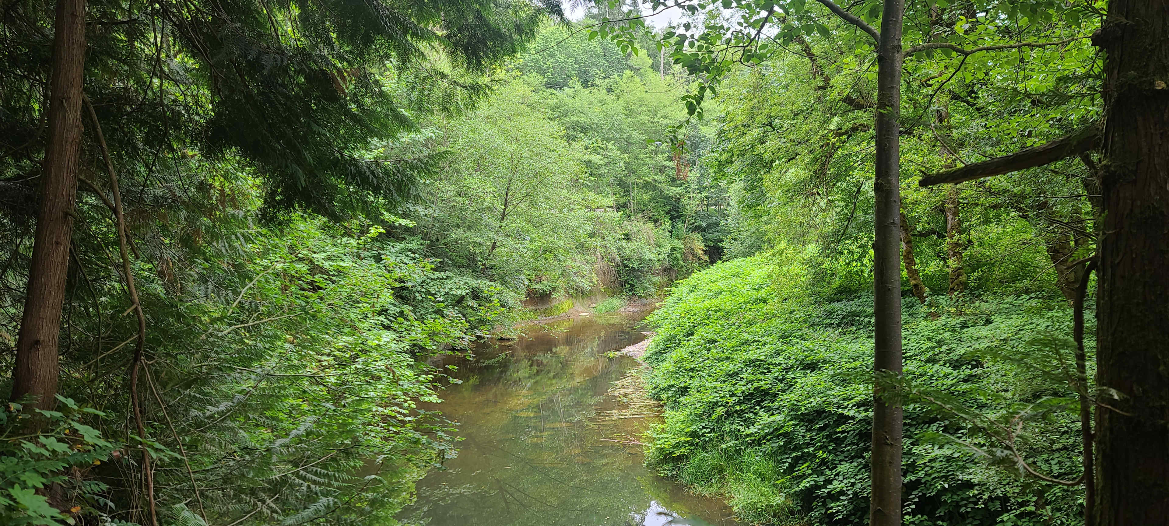 OLEQUA CREEK