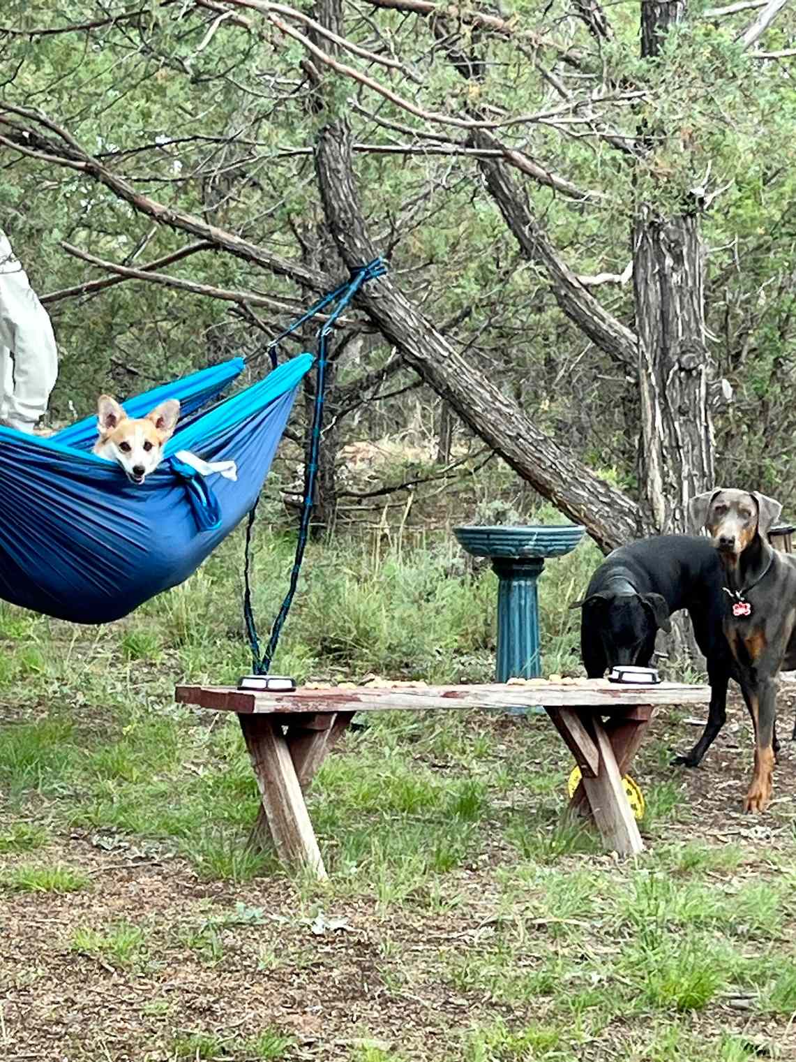 Bear Paw lake Cabin