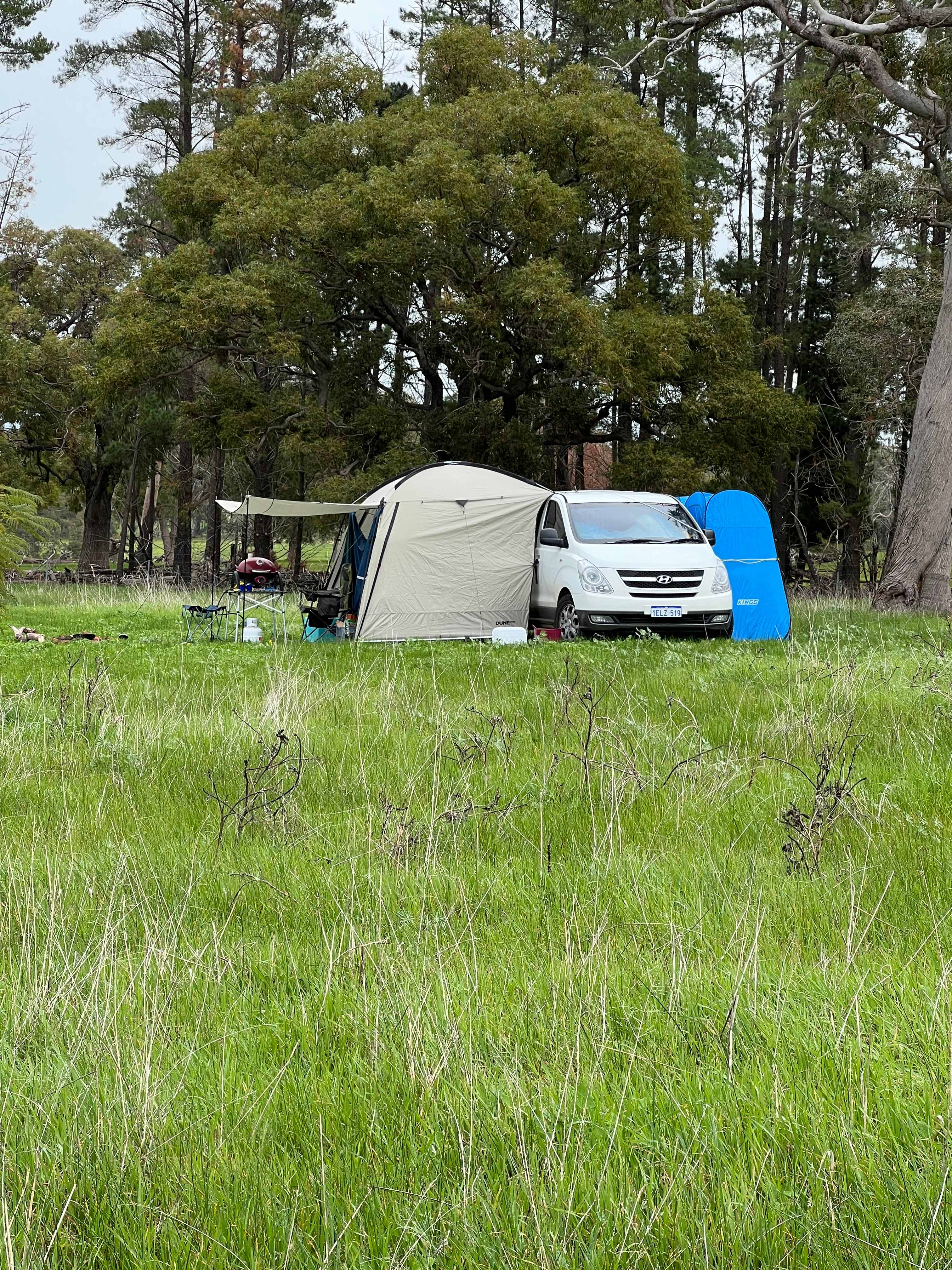 Picture of the site
