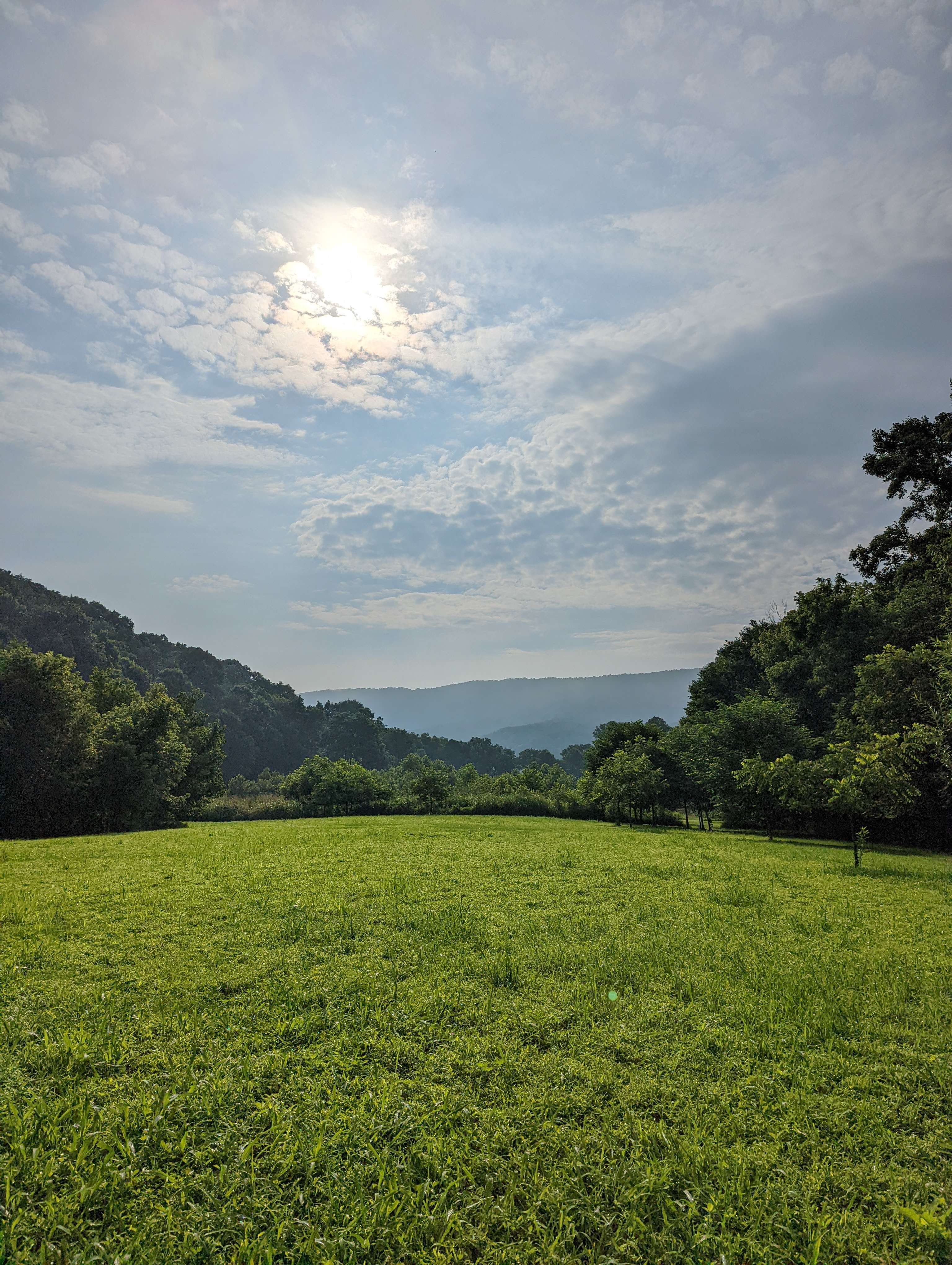 Picture of the site