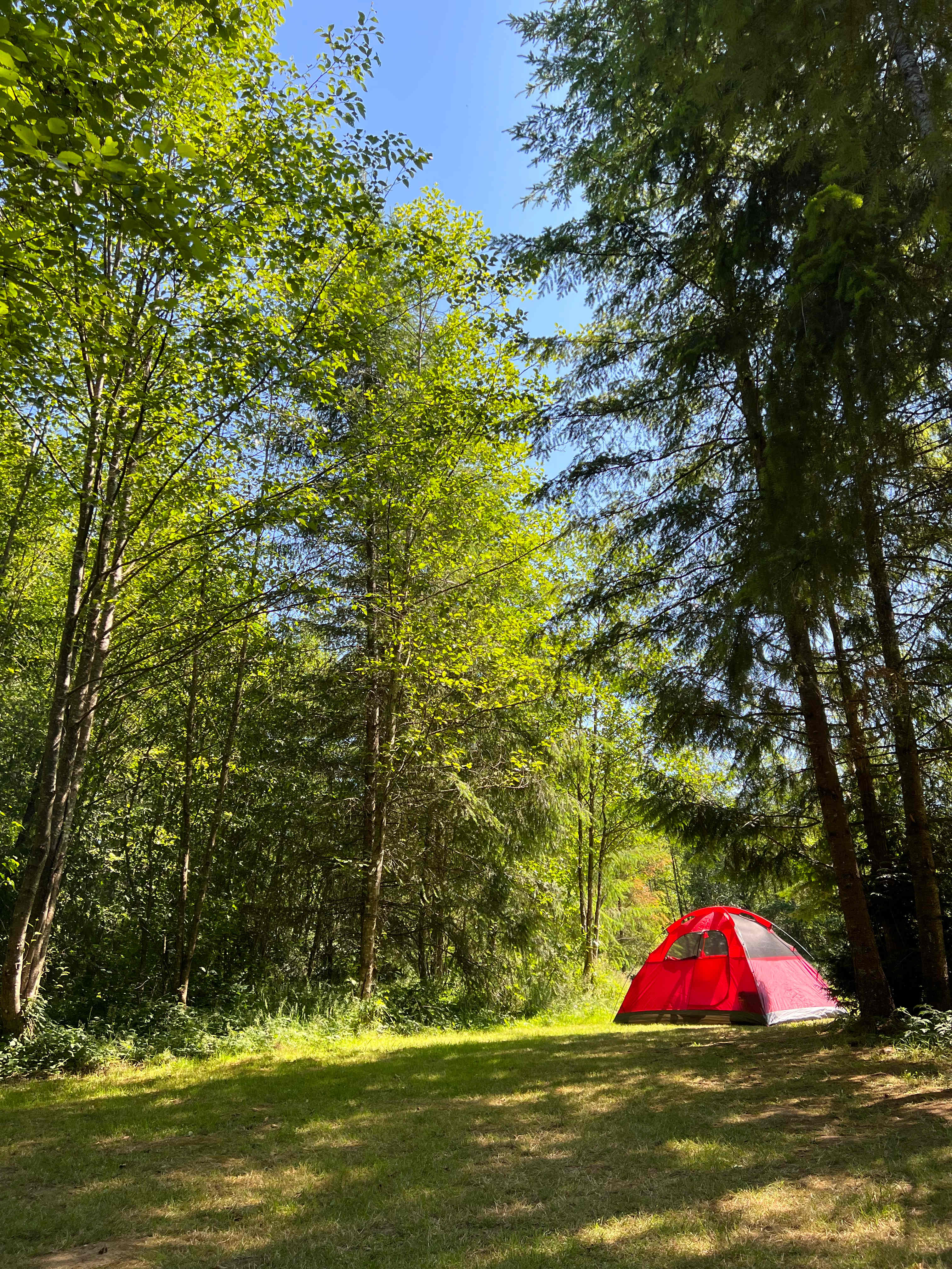 Perfect spot for the tent. 