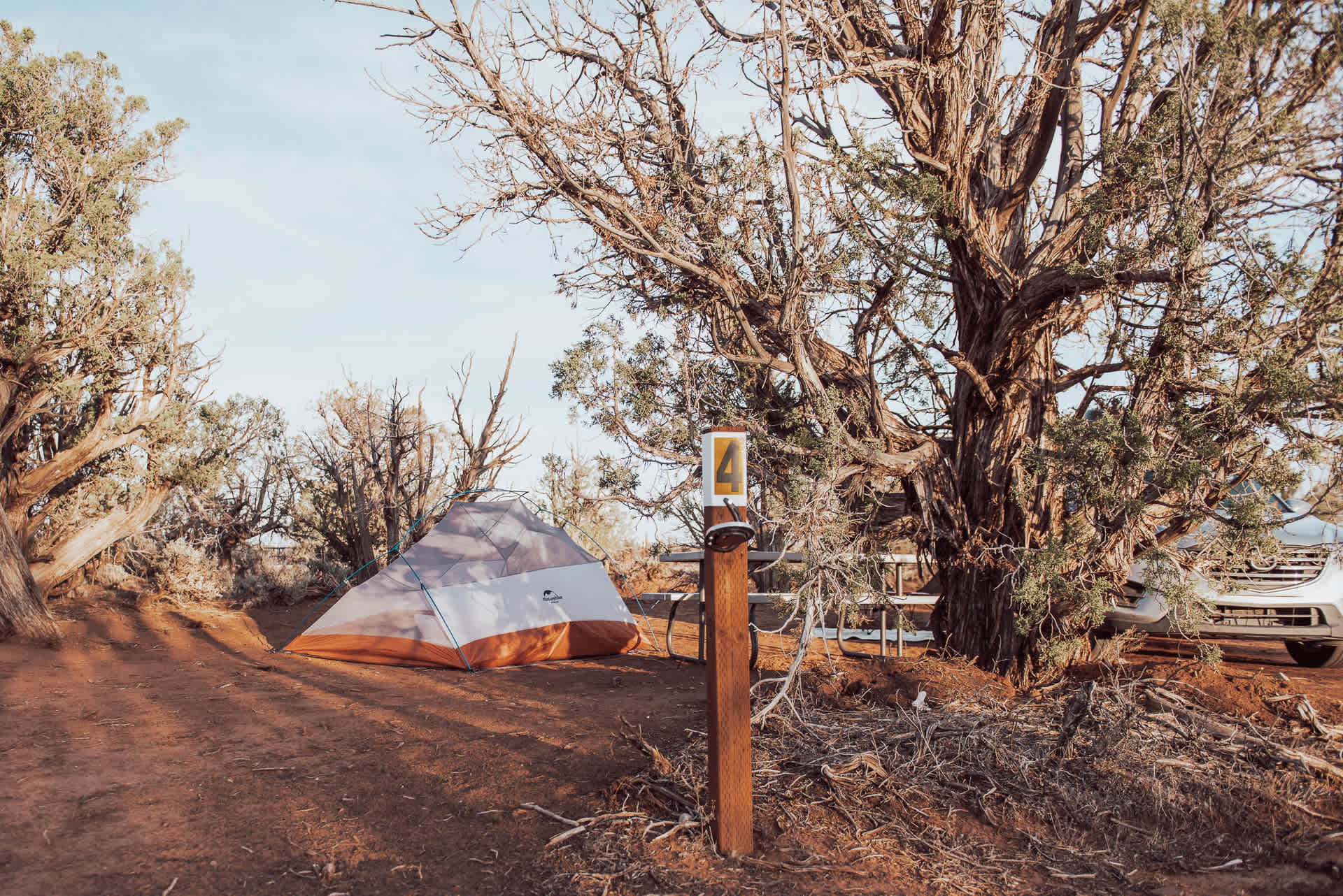 Campsite 4