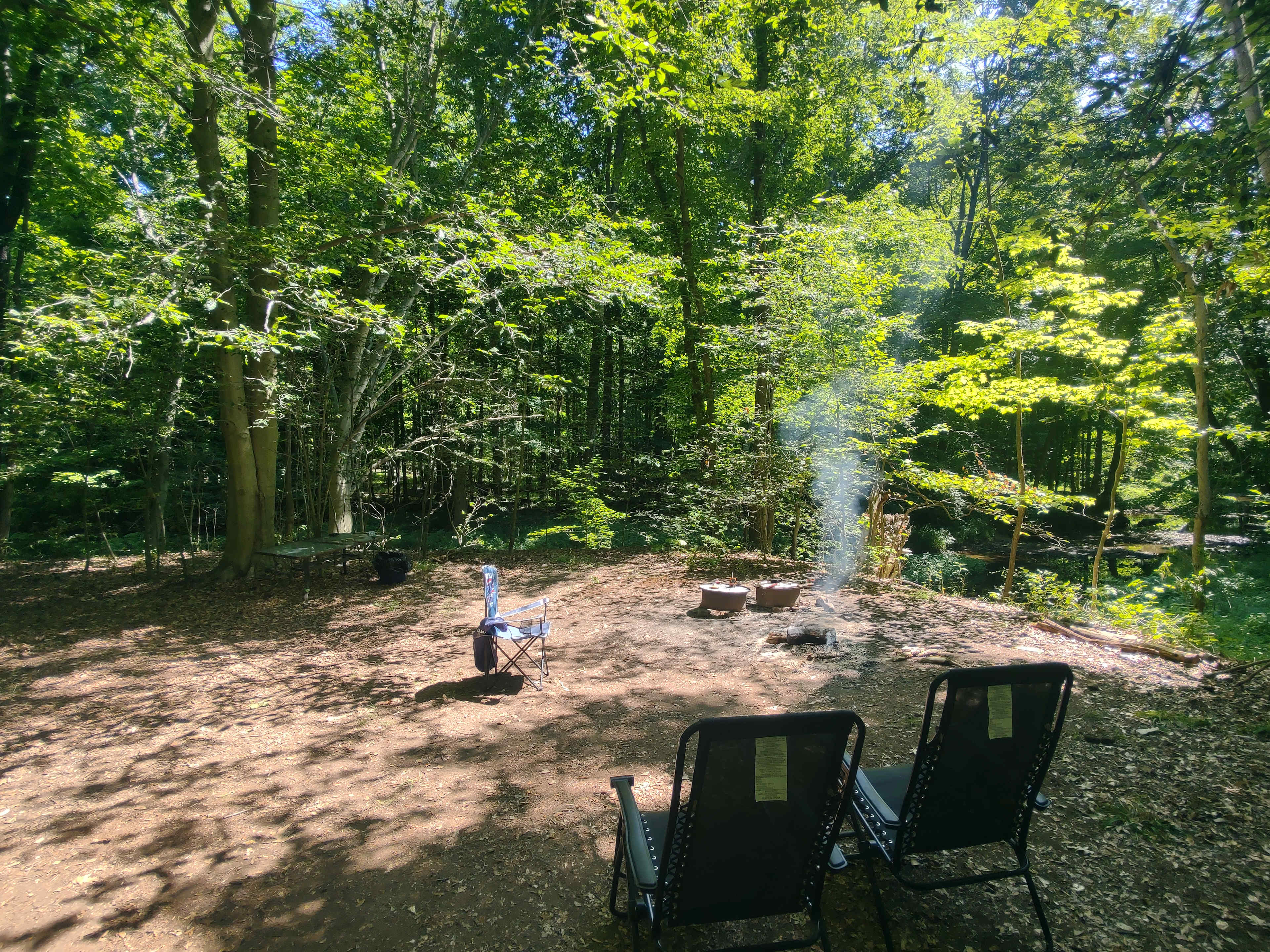 Picture of the site