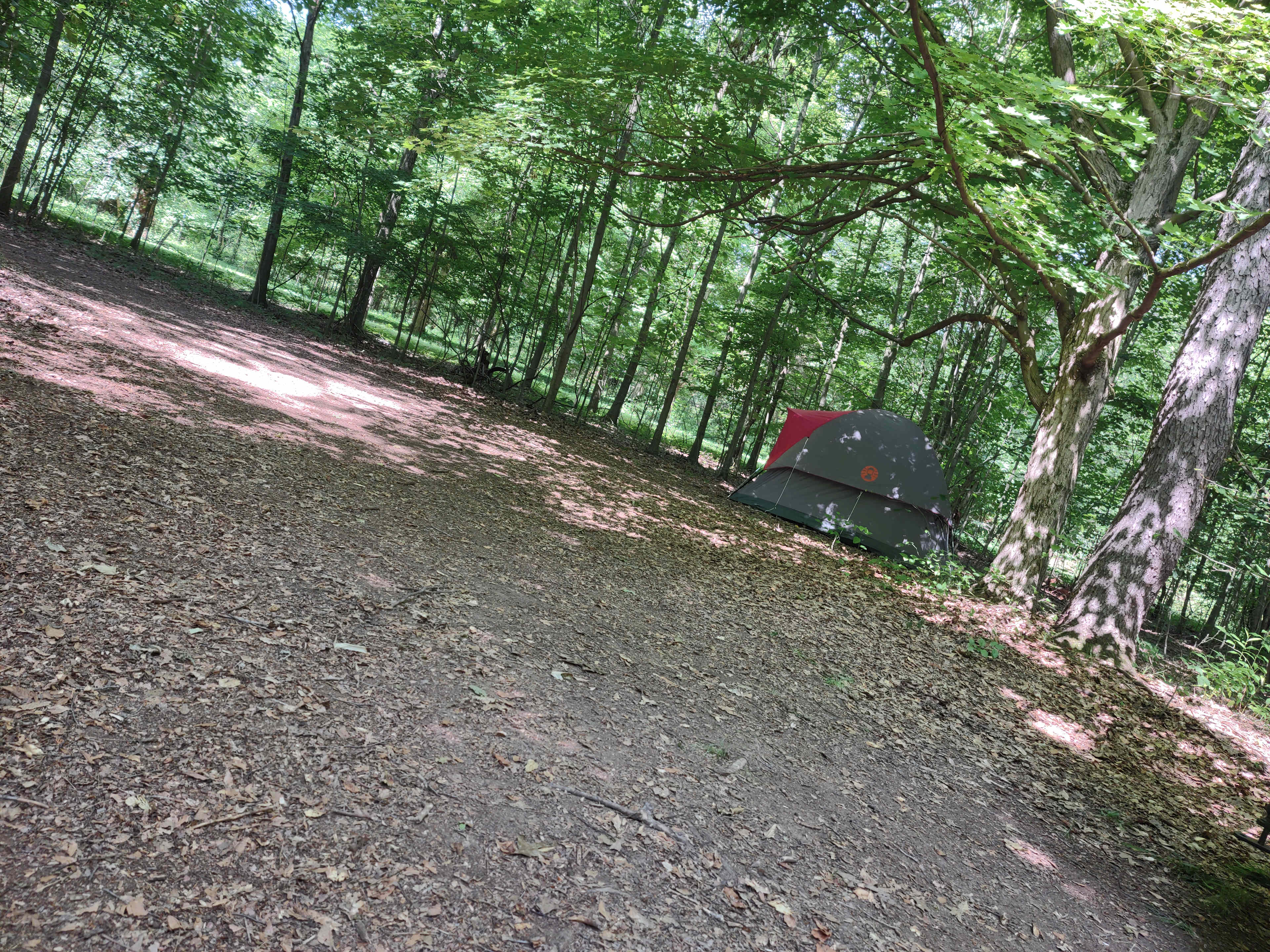 Picture of the site