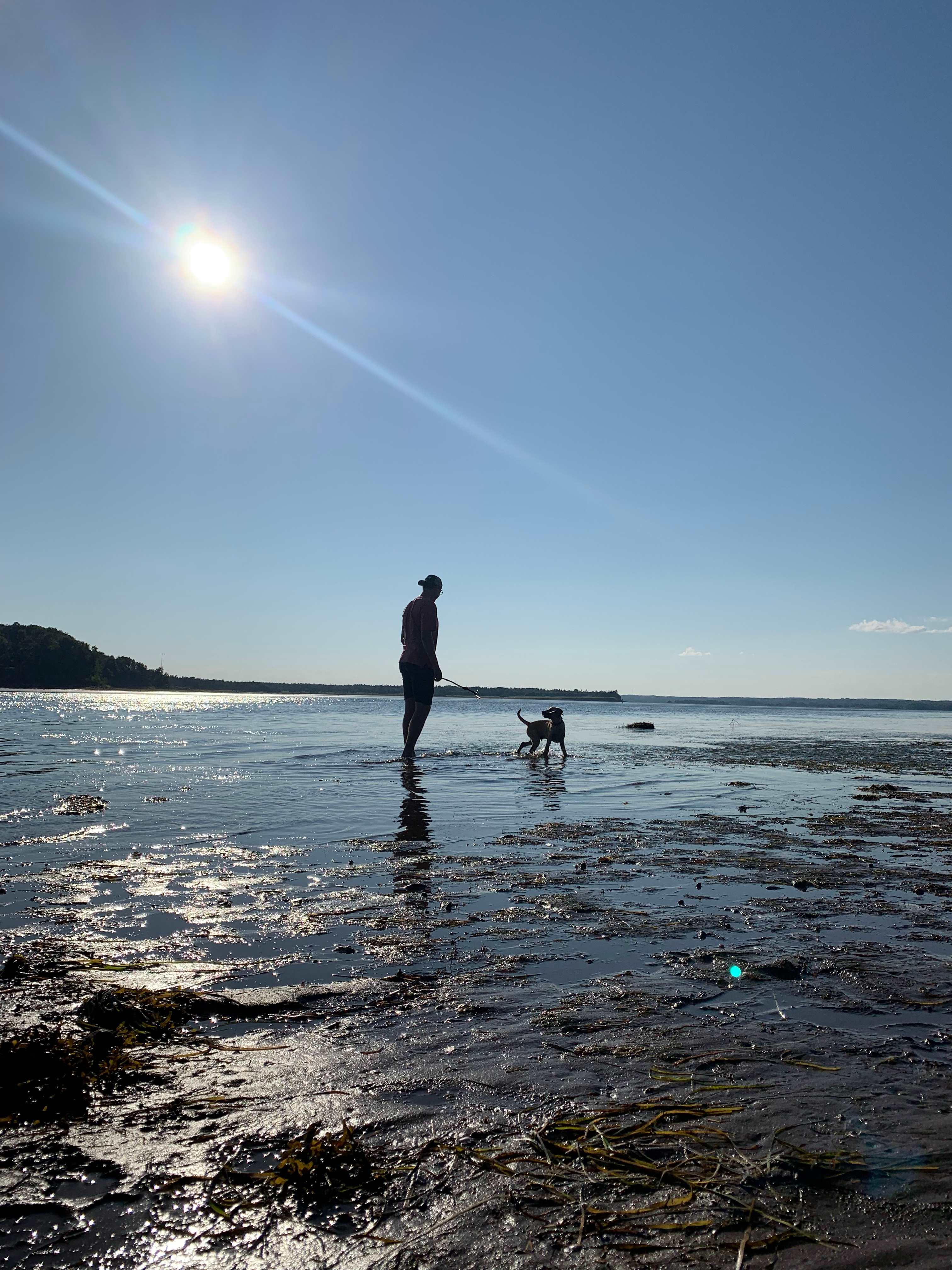Sand Point RV Camping and Tenting