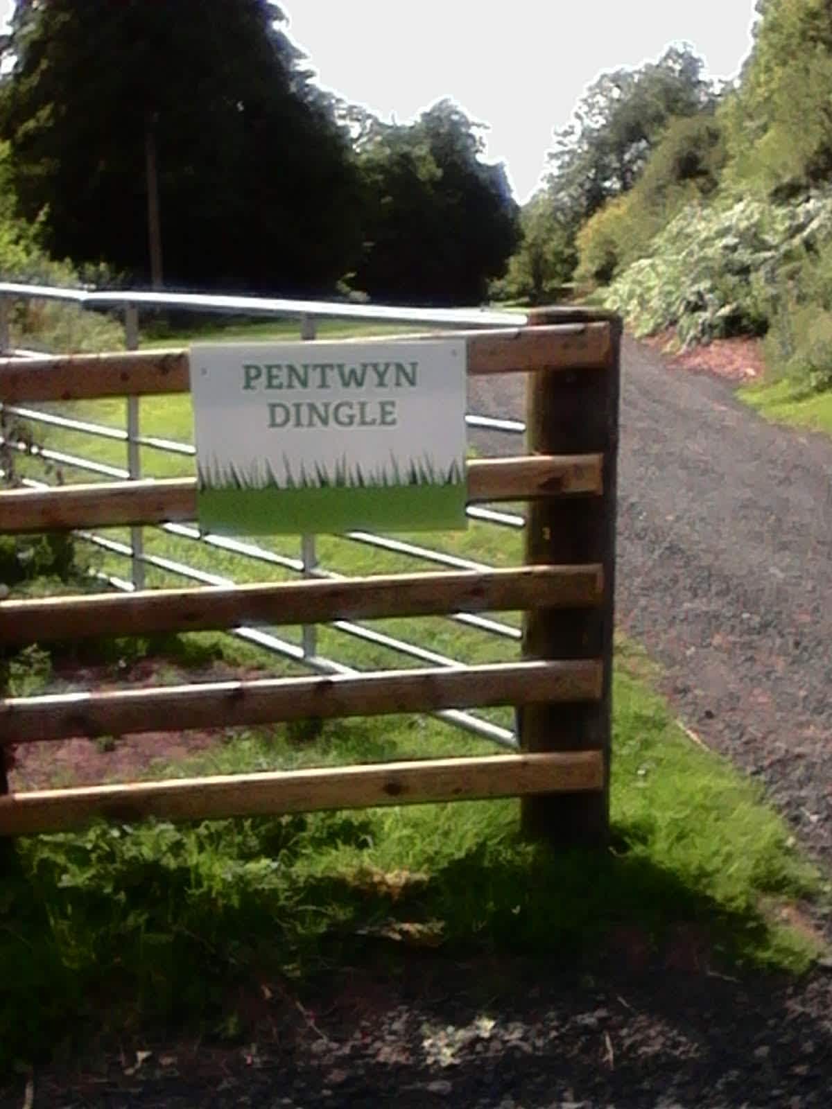 Pentwyn Dingle and Lodge Field Camp