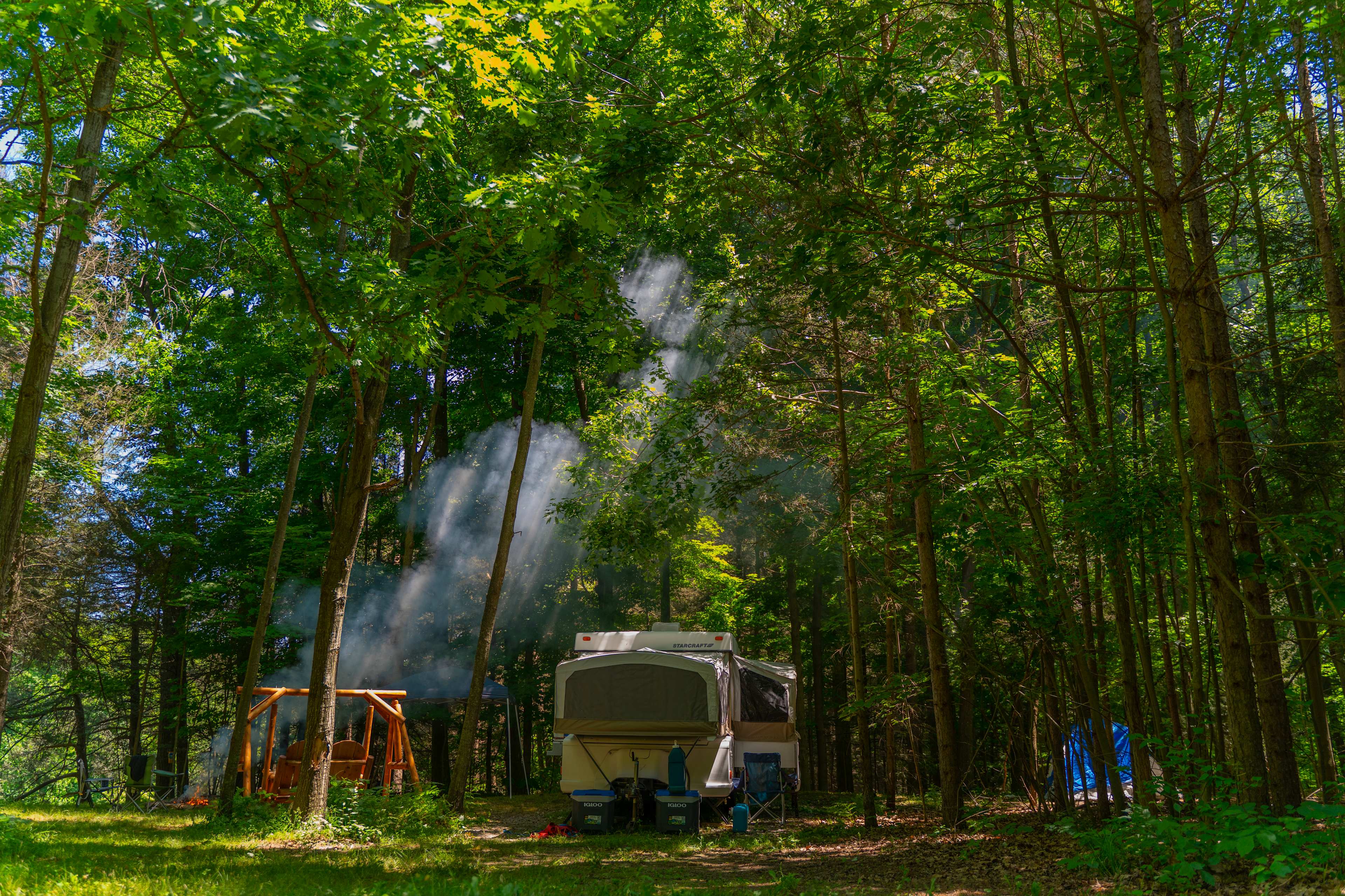 Chestnut Grove