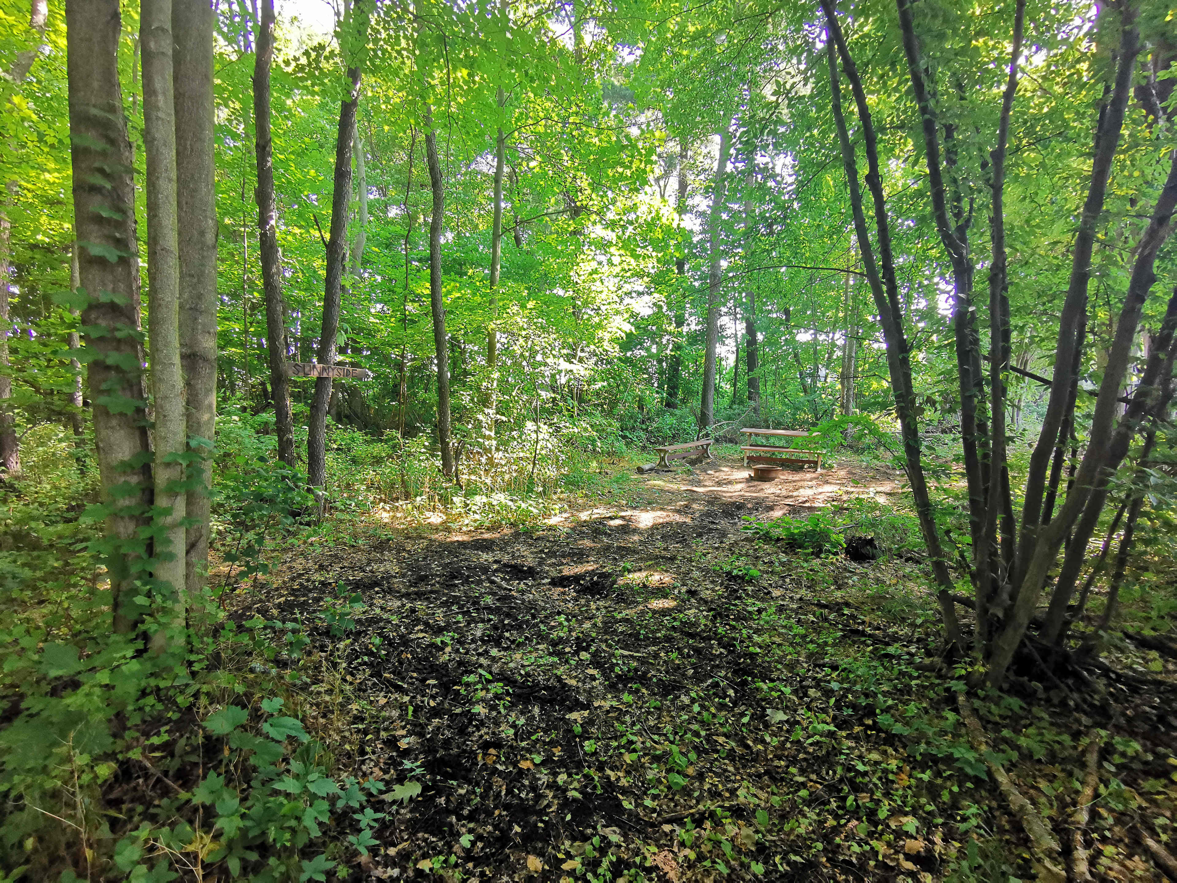 Picture of the site