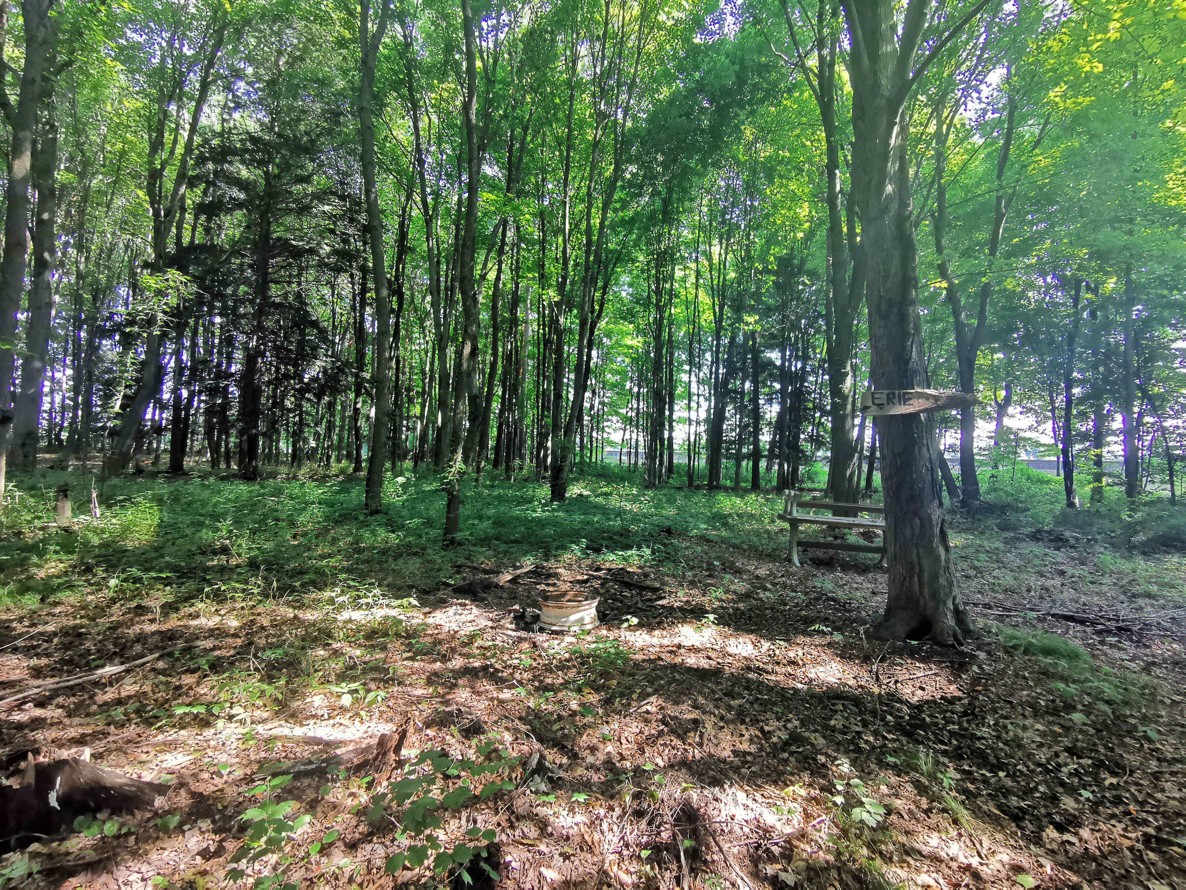 Picture of the site