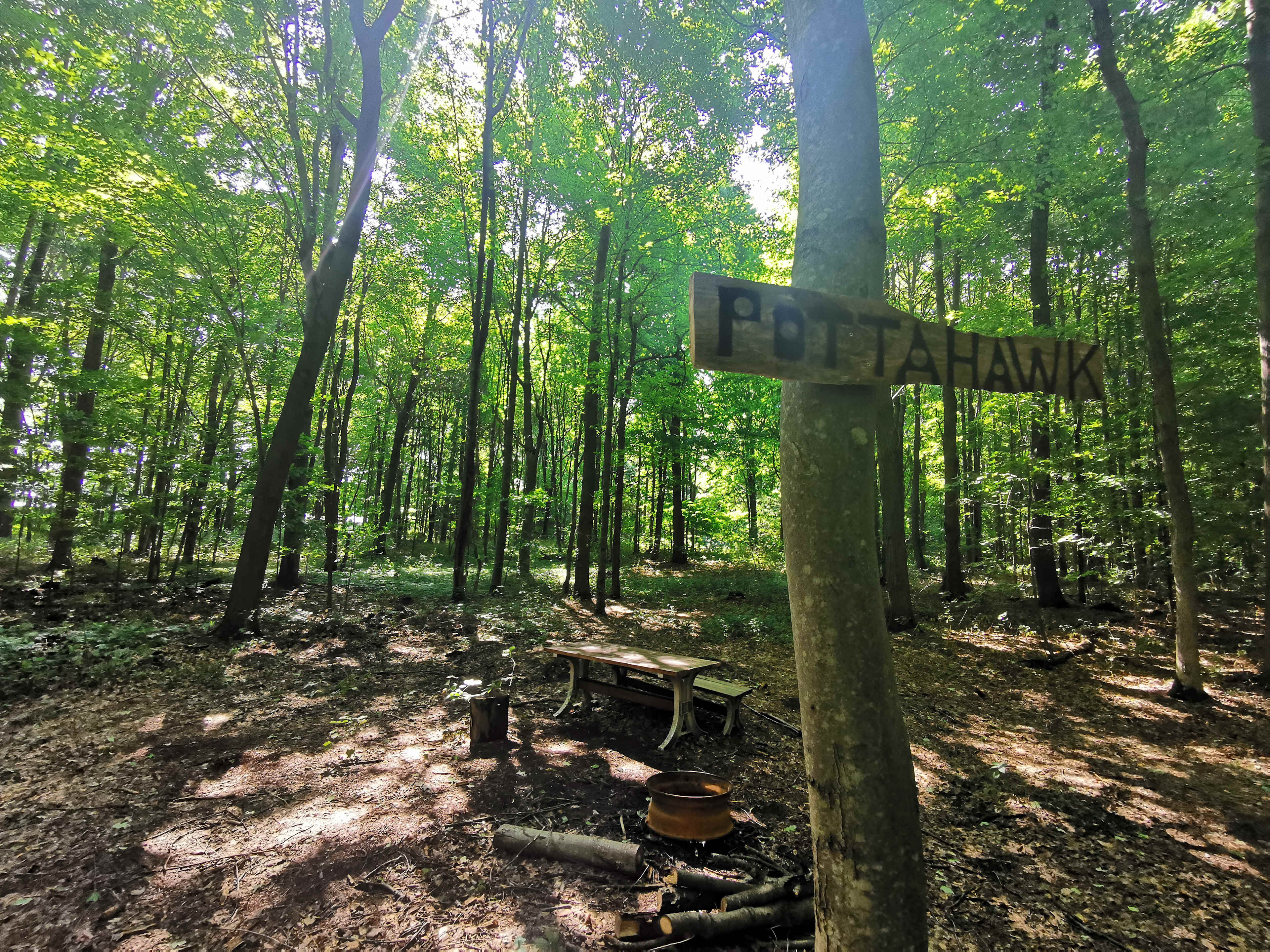 Picture of the site