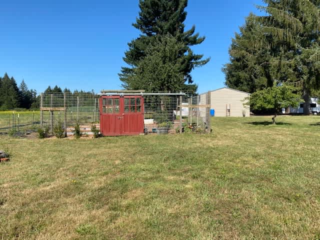 Come explore the garden or Blueberries.  This is where the Red Door Adventures name came from, our love of gardening 