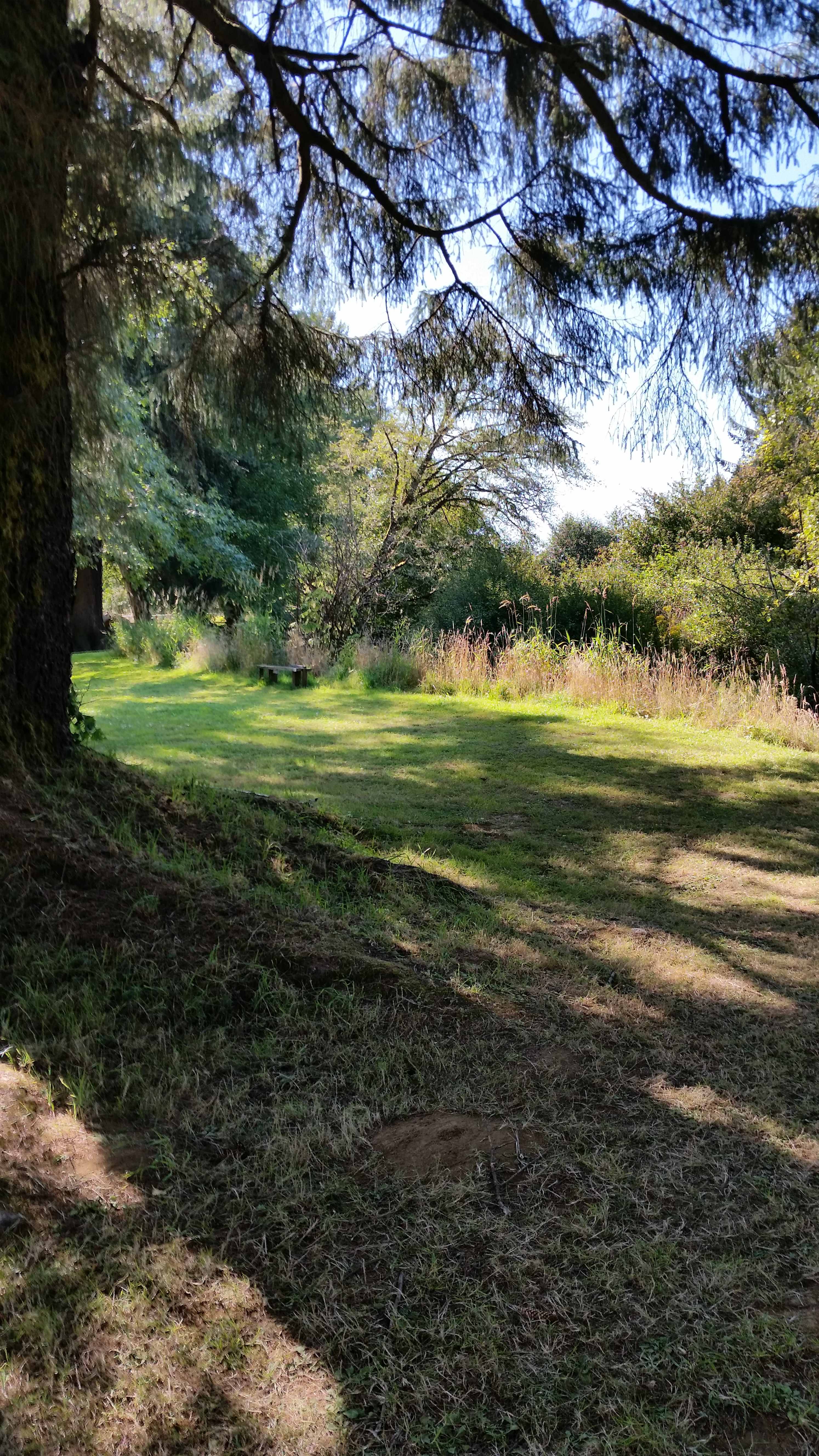Williams Park campground