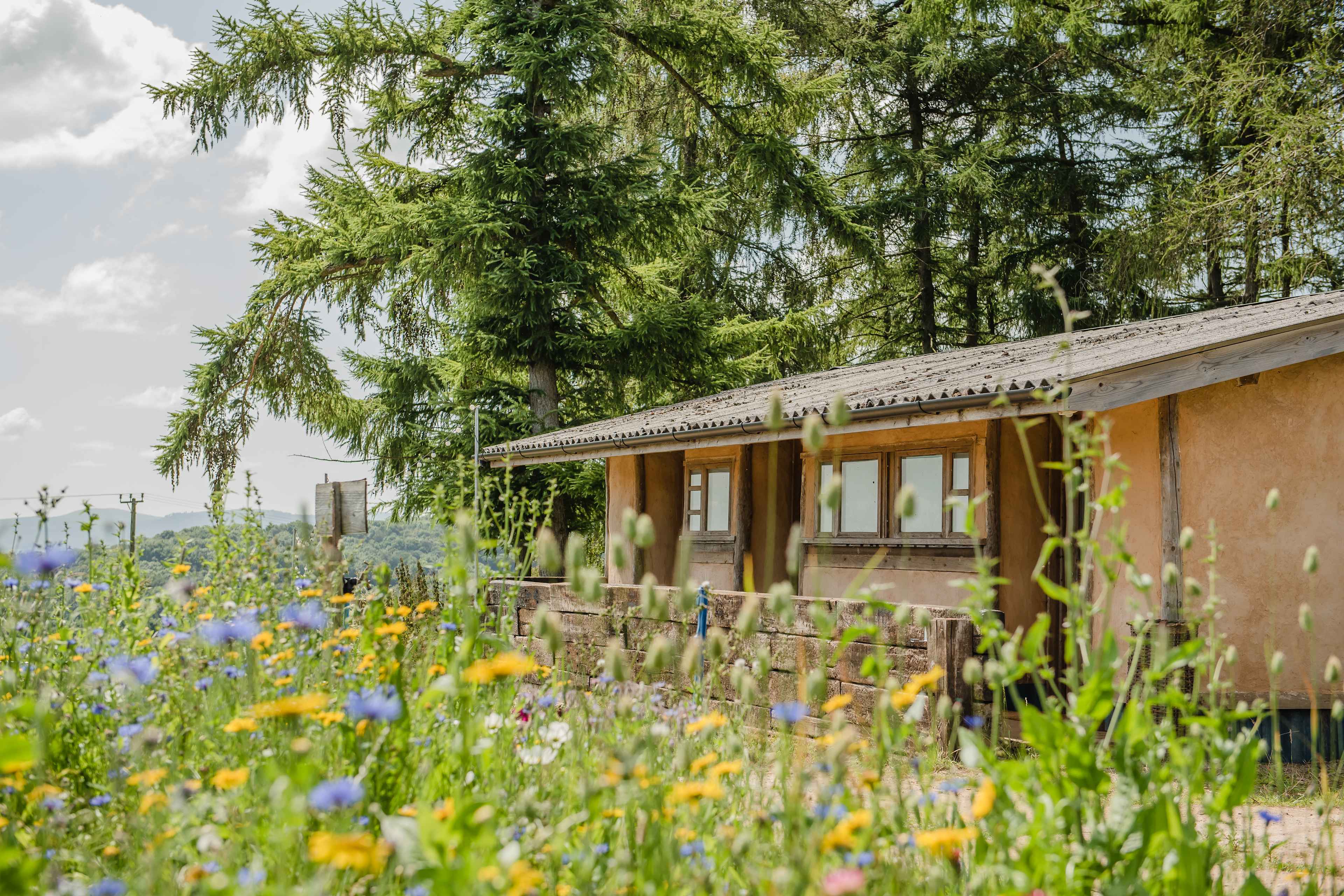 Our straw bale toilet and shower block.