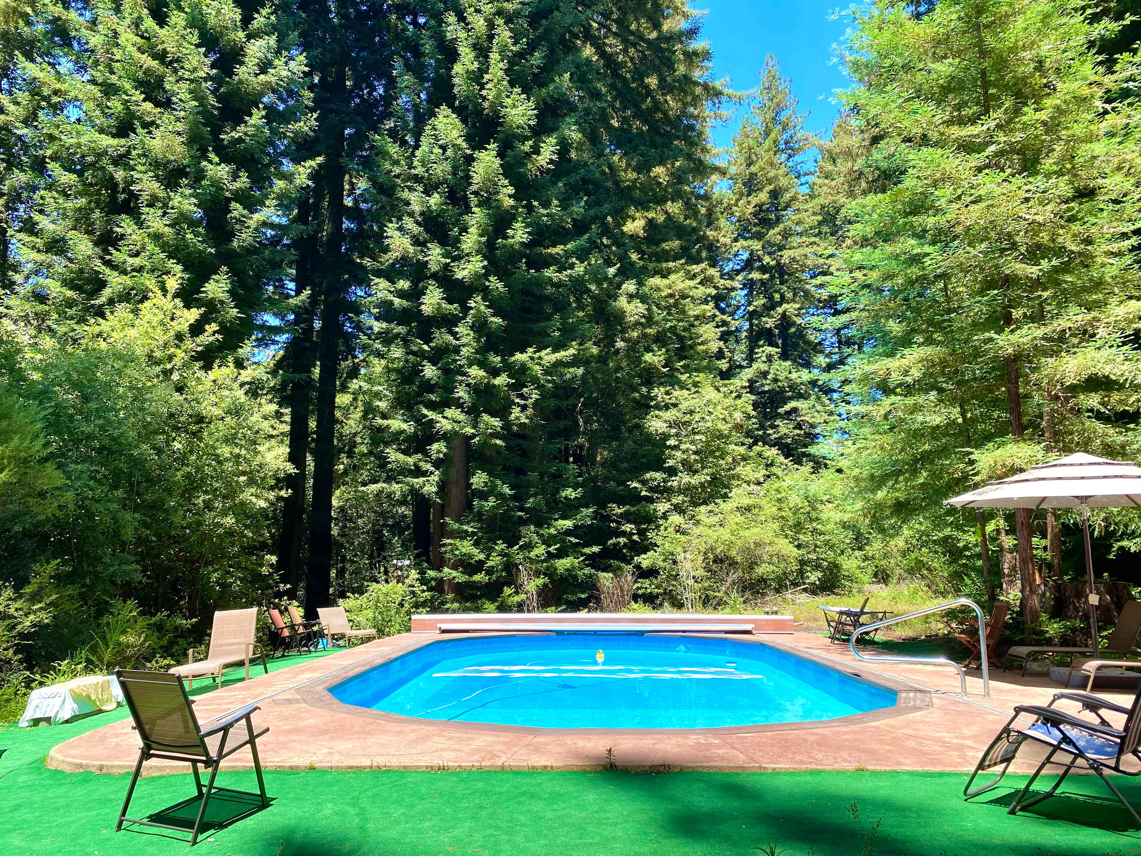 Redwood Paradise Camping