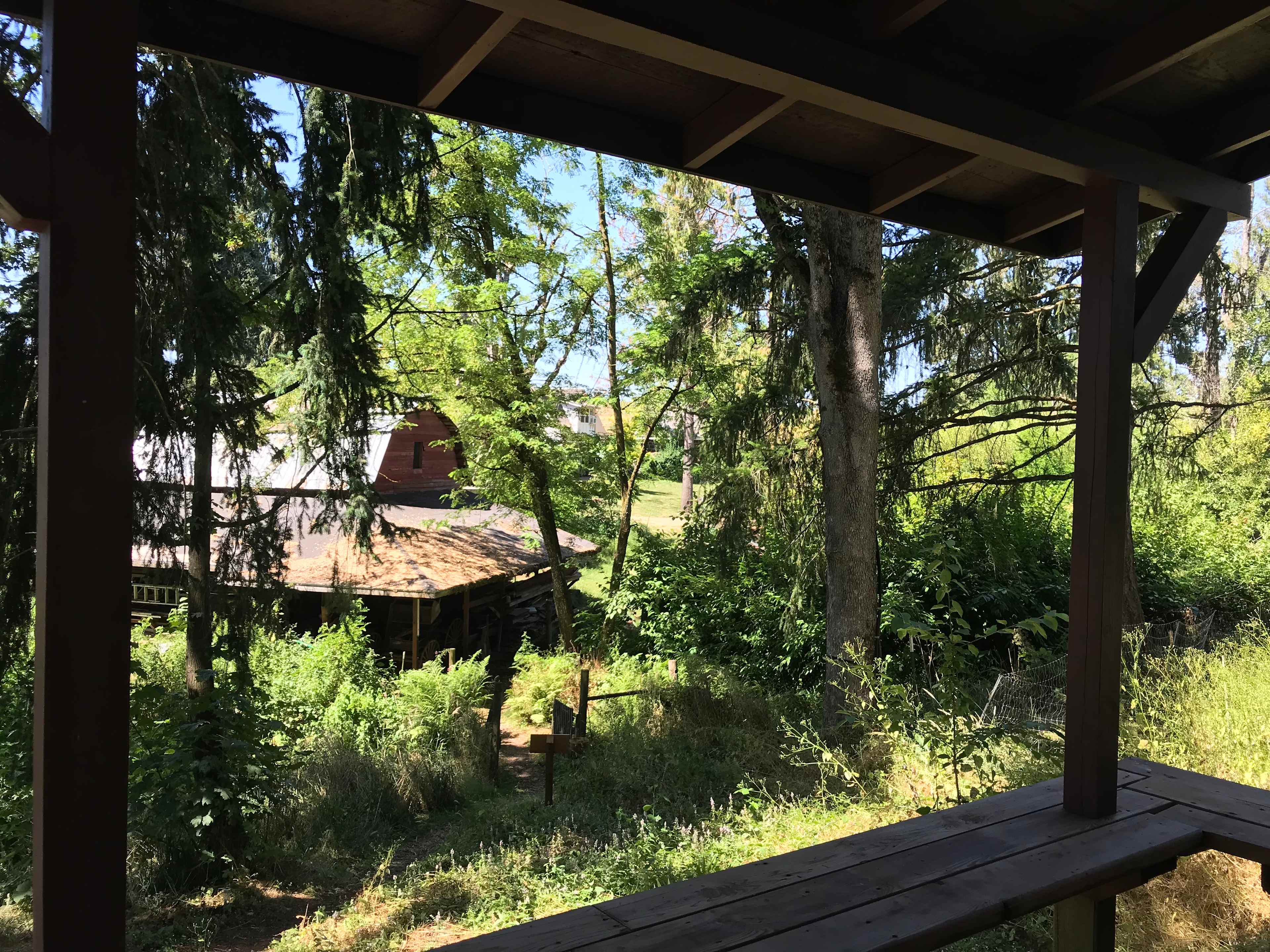 Picture of the site