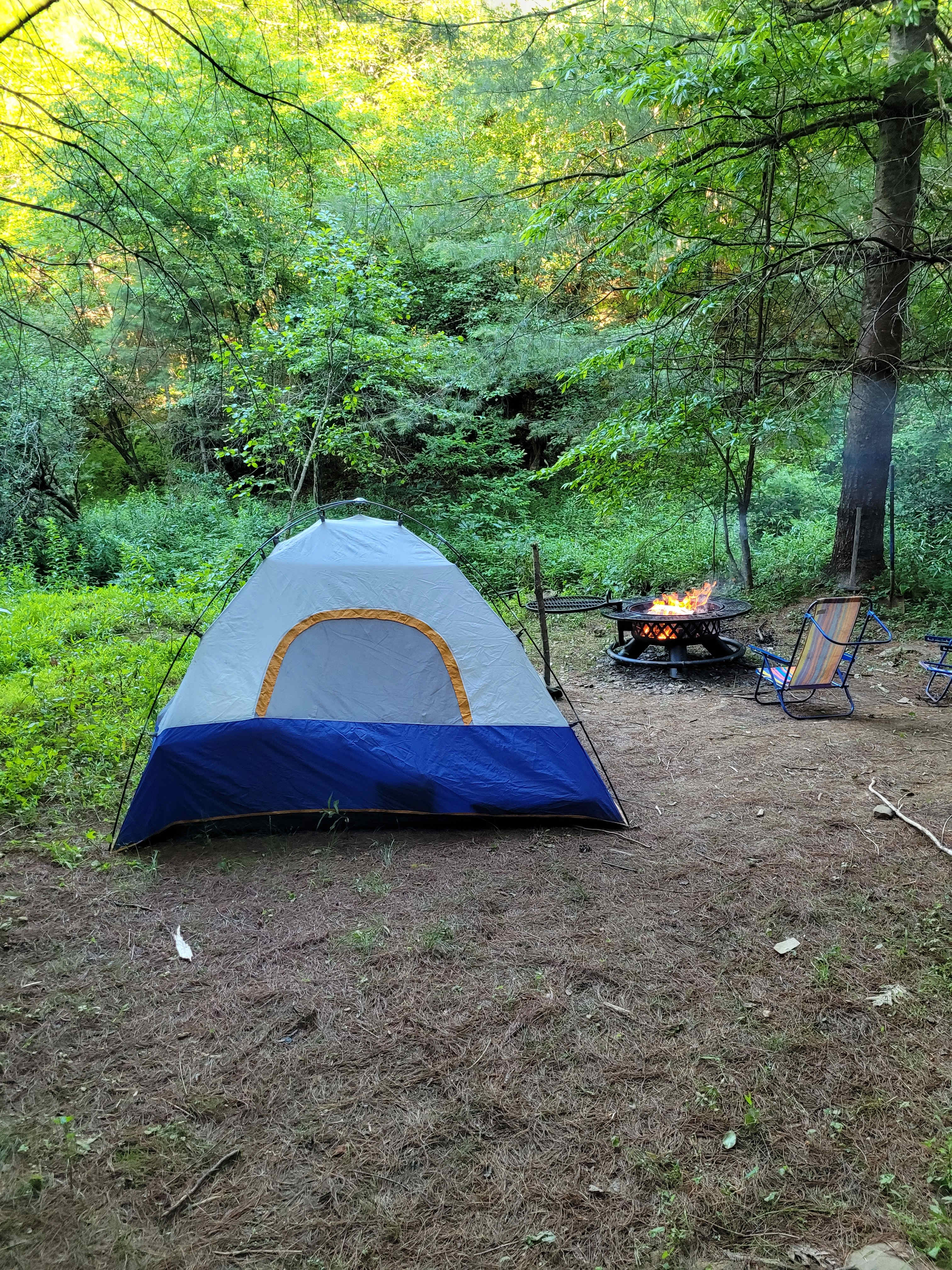 Picture of the site