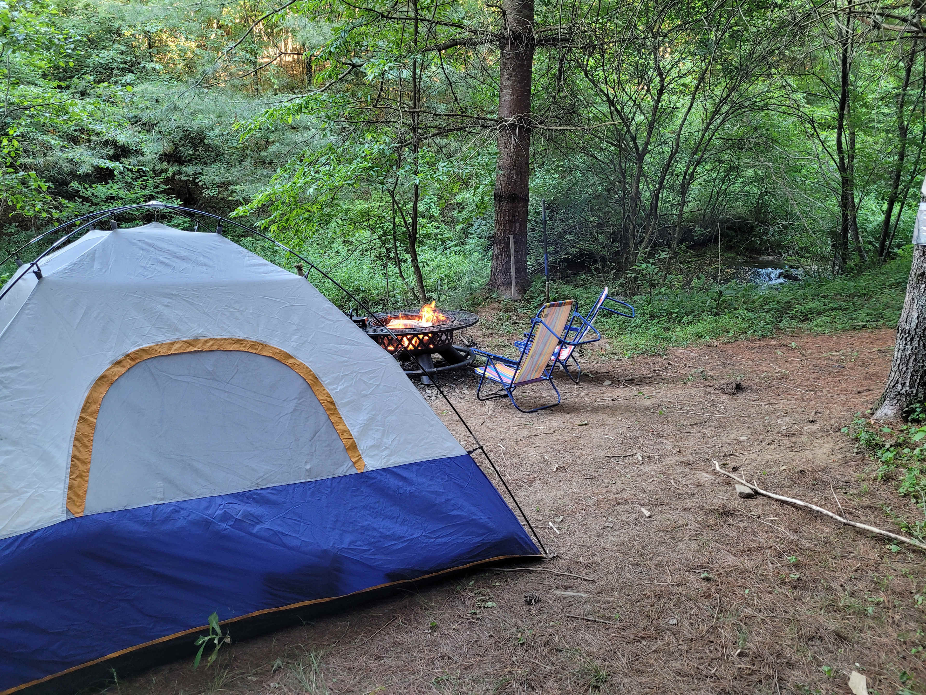 Picture of the site