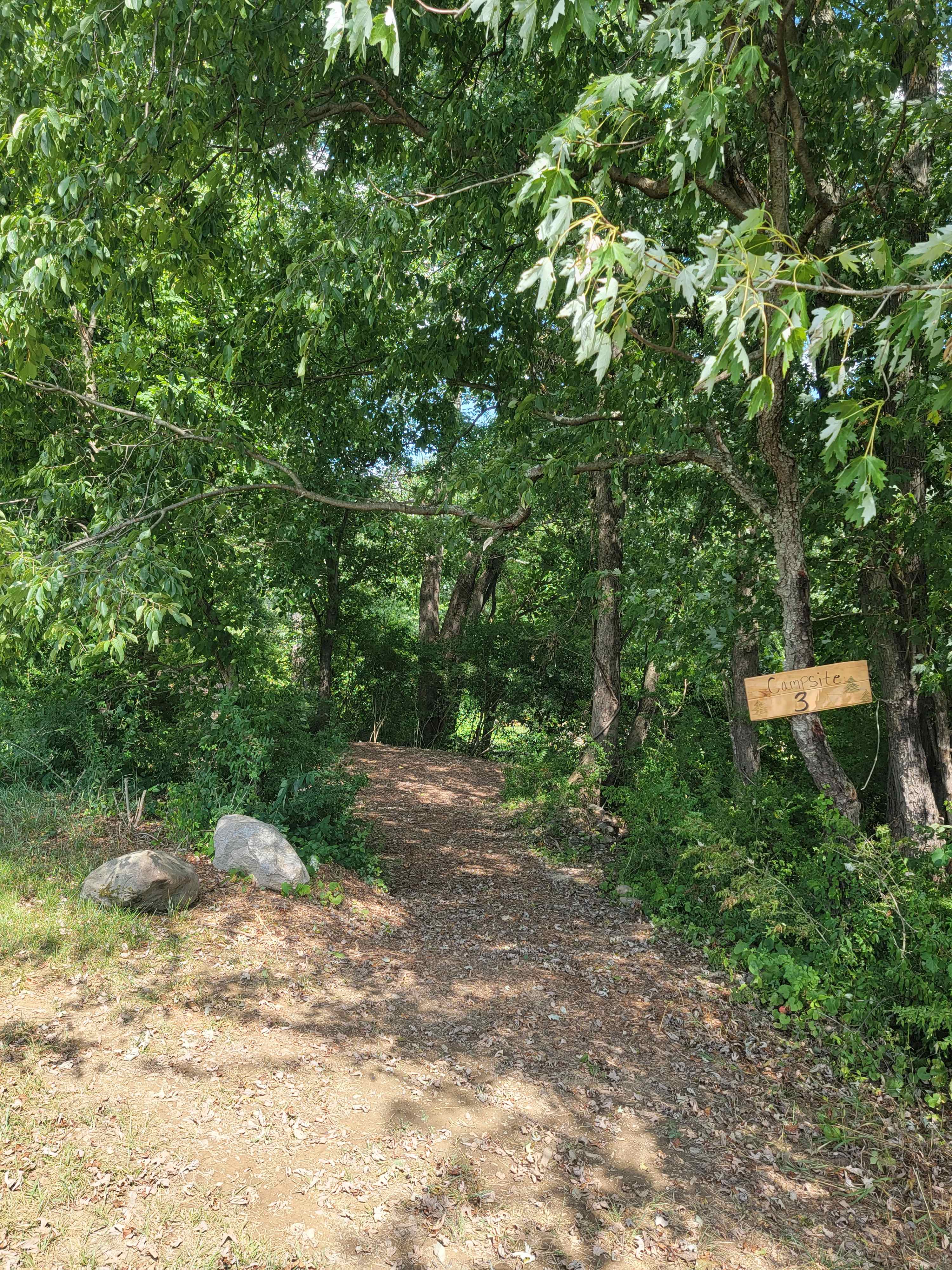 Picture of the site