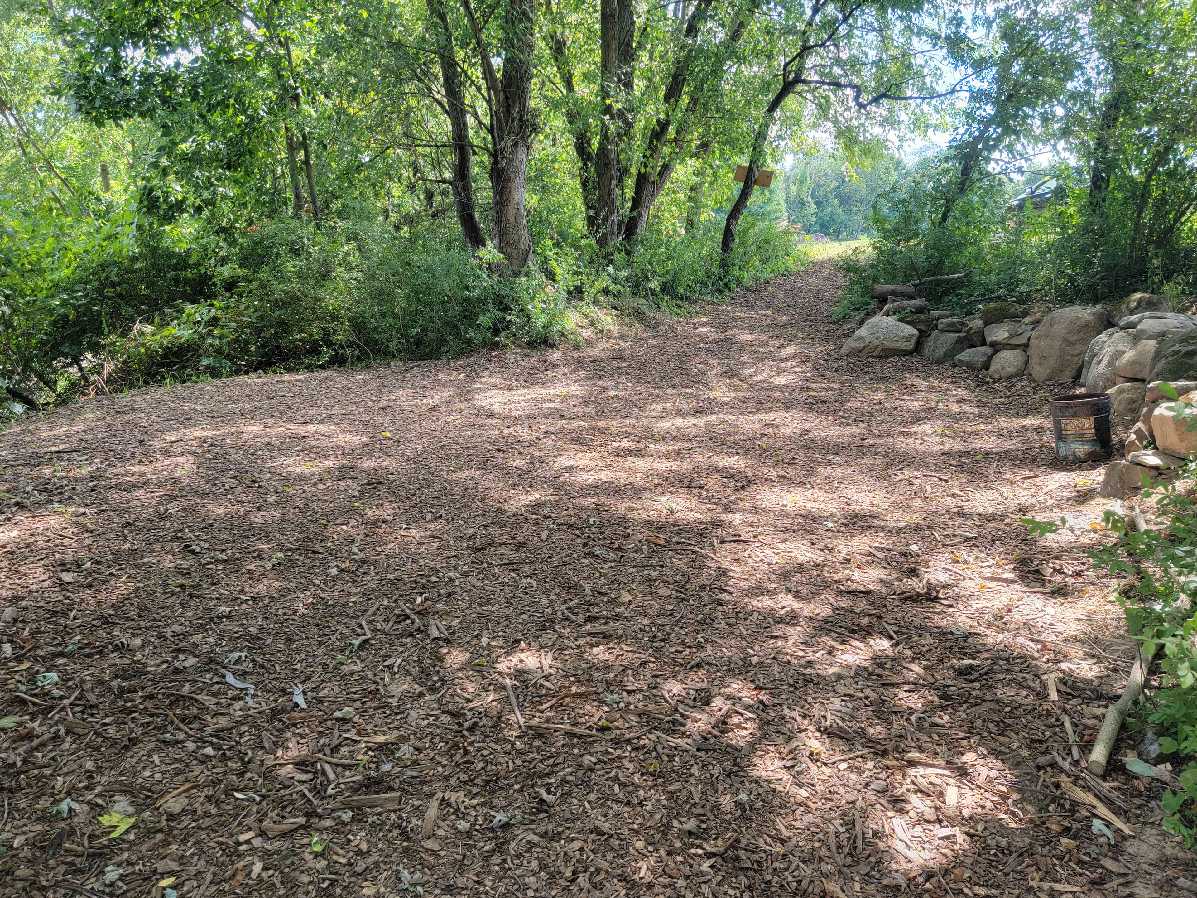 Picture of the site