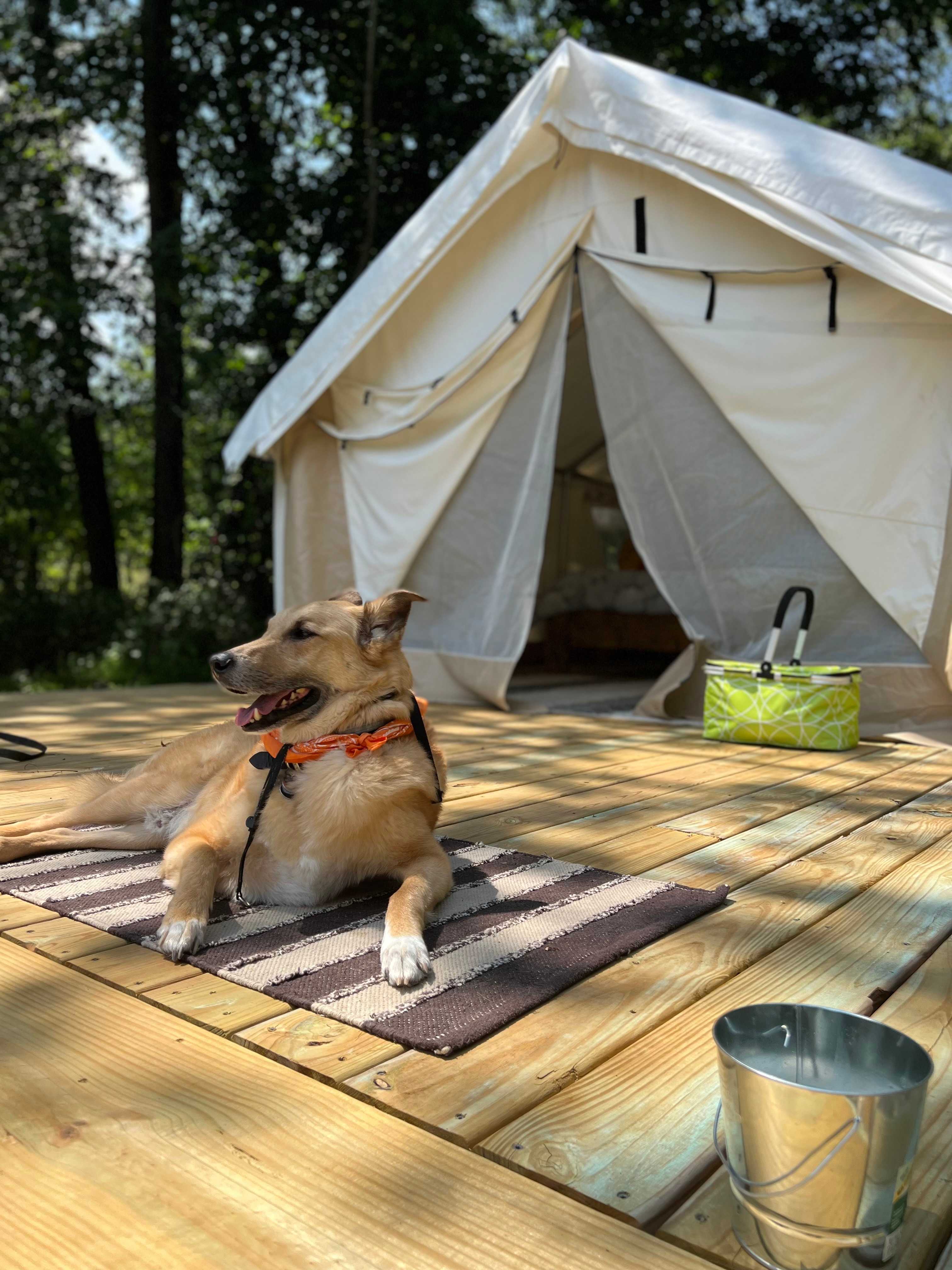 Hidden Valley Hideaways