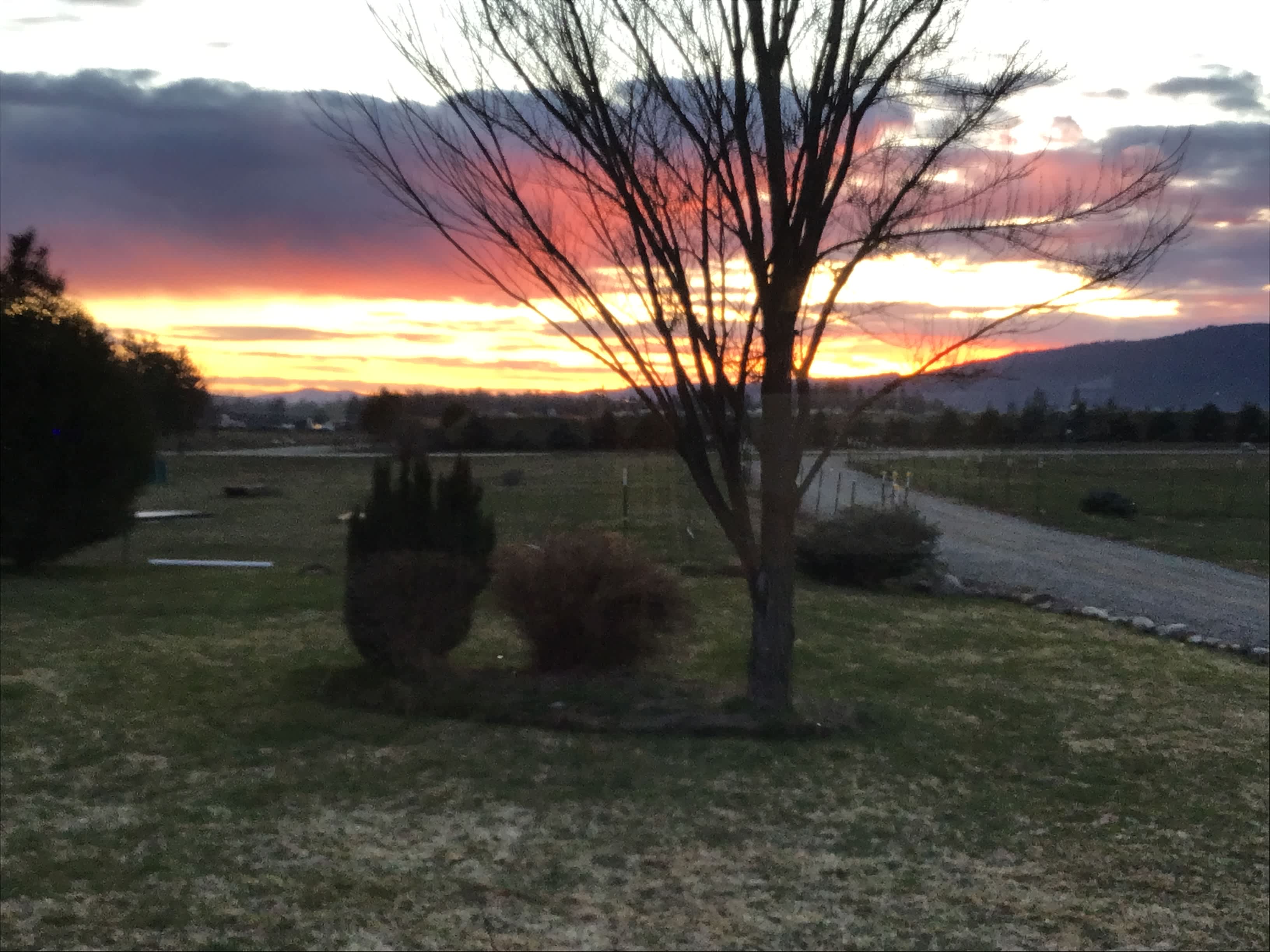 Sunsets