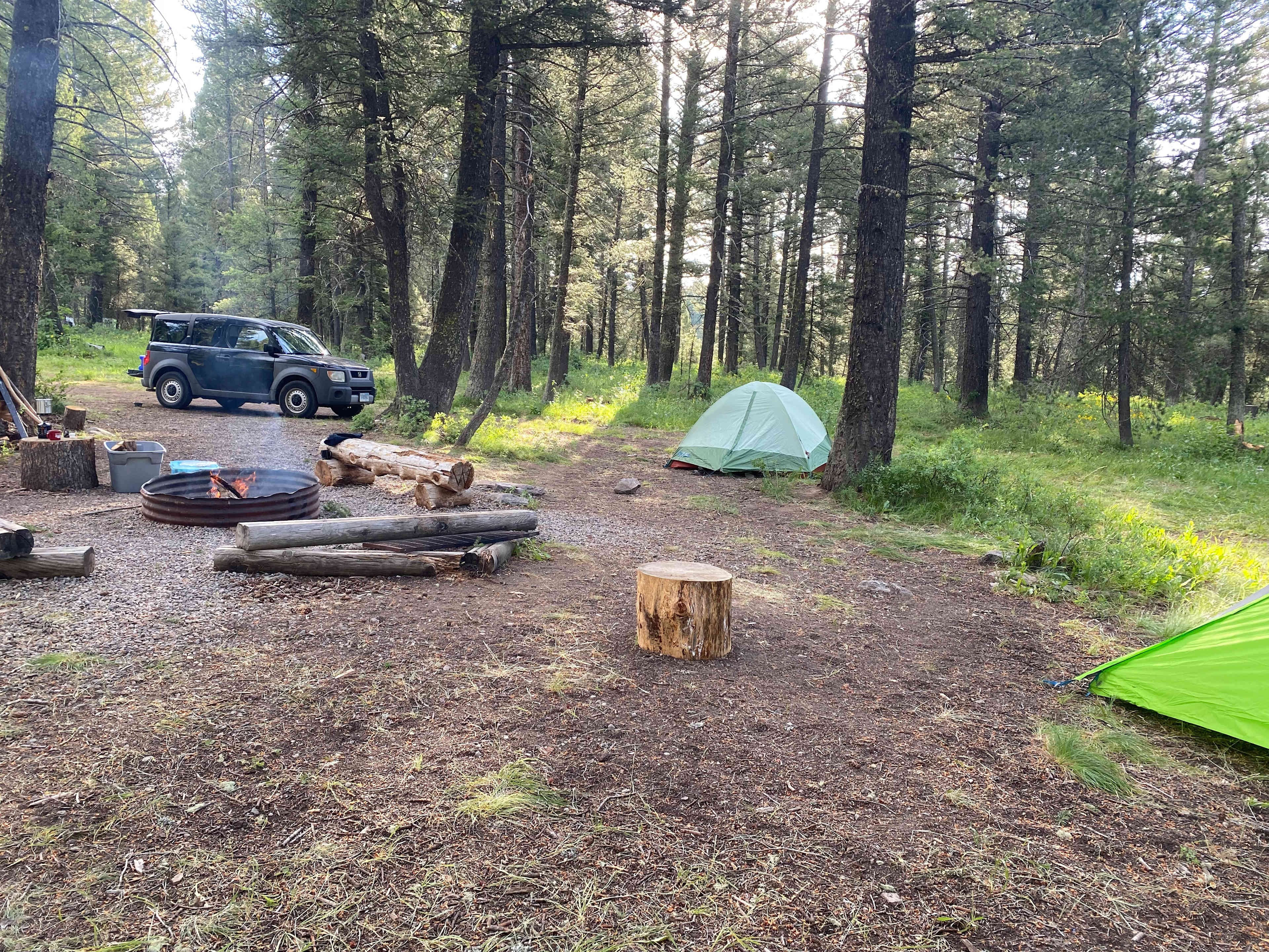 Peaceful Pines