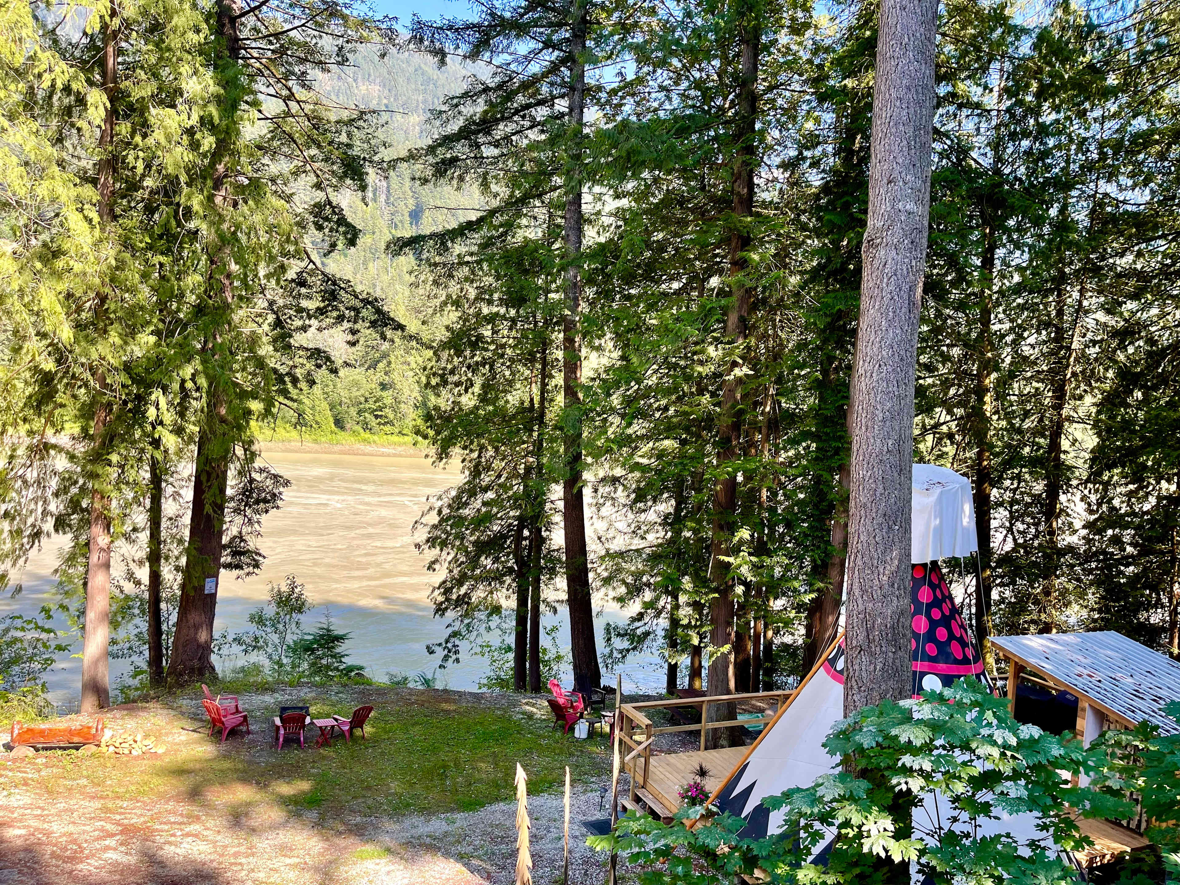 Picture of the site