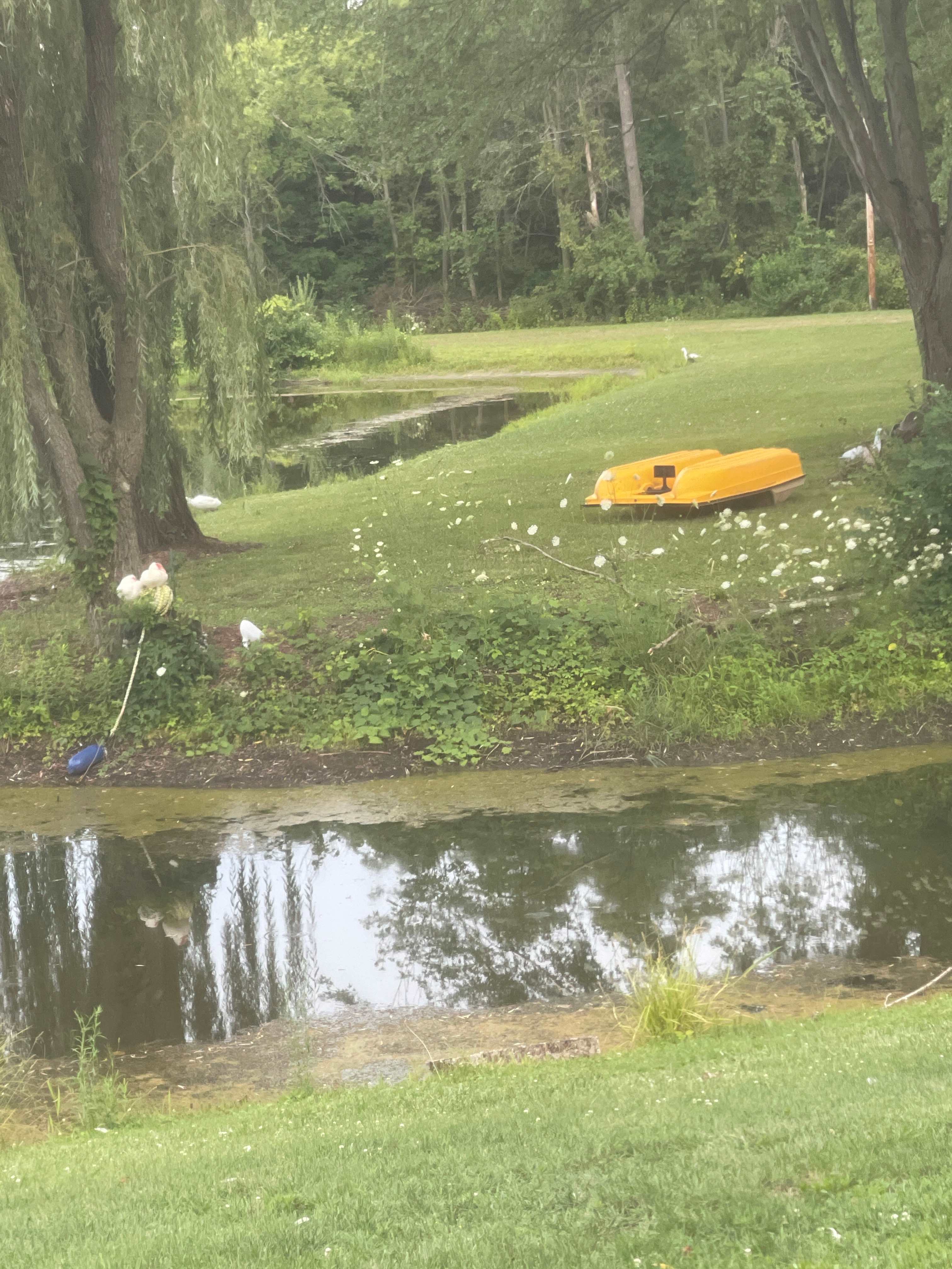 Camping along the pond available